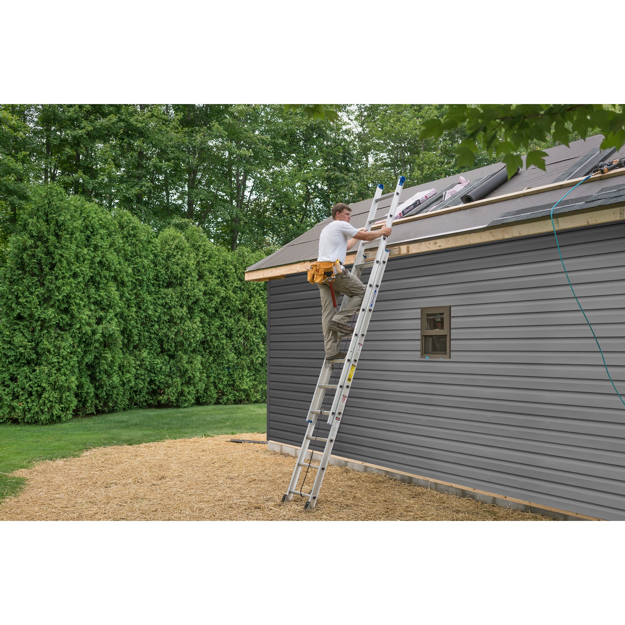  D1340-2 Extension-Ladders - View #9