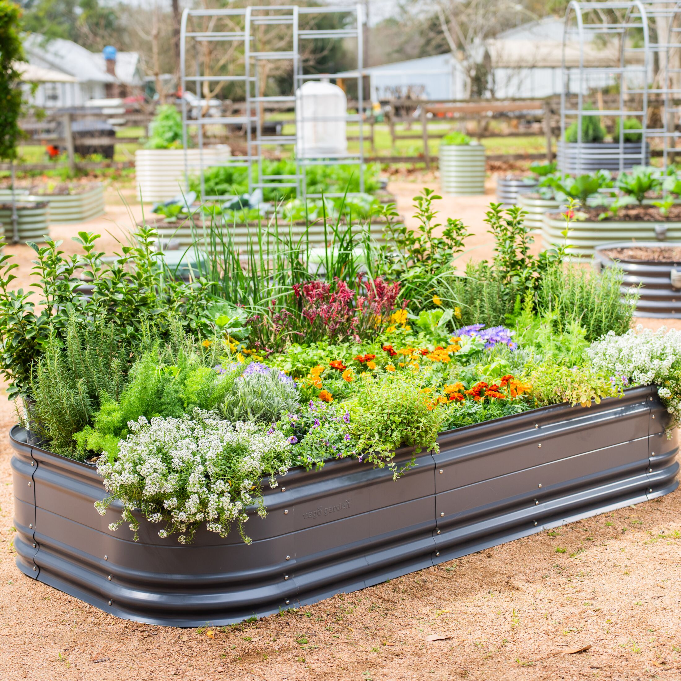Vego Garden VB10N117MGG2 Raised-Garden-Beds - View #2