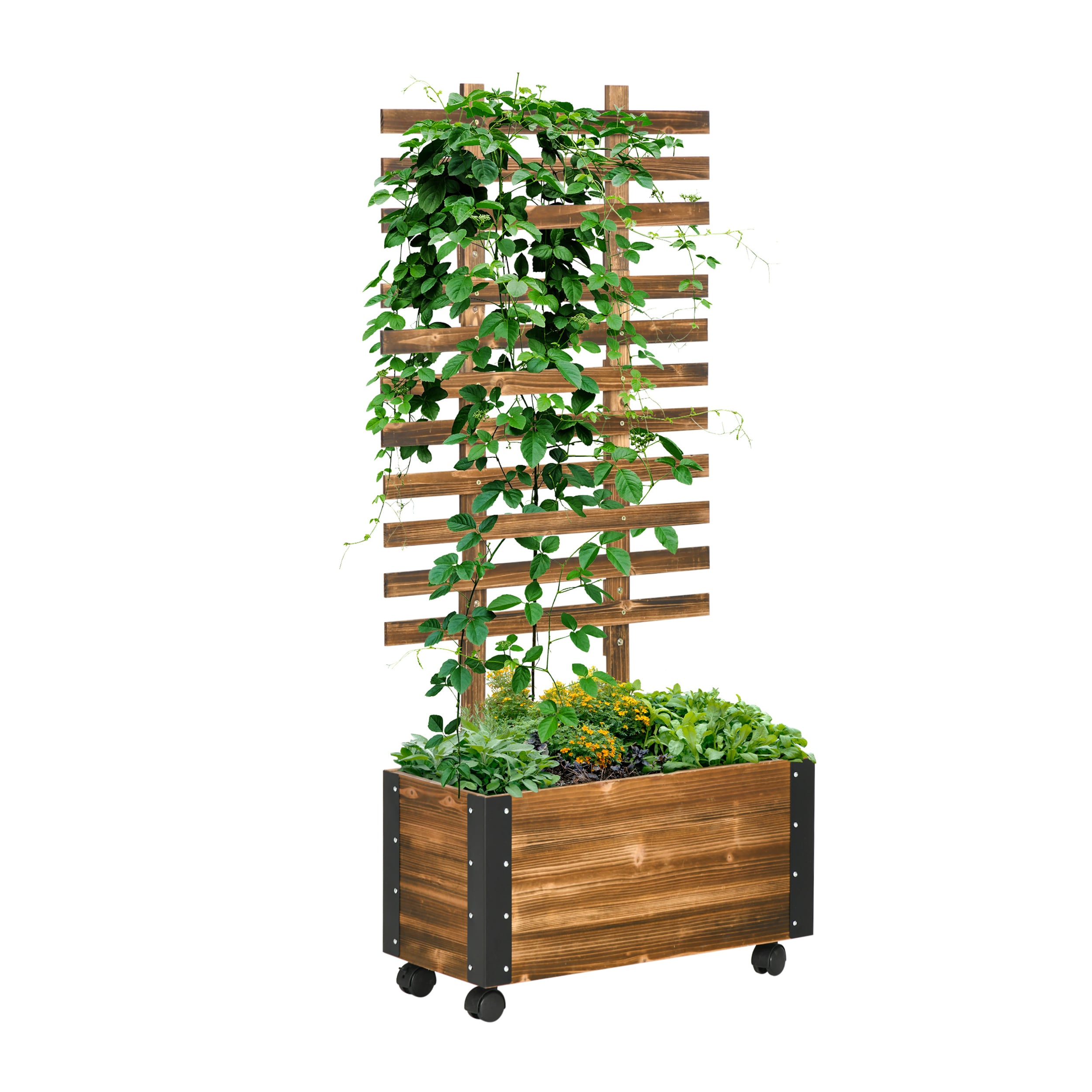 AHIOU HOME ZAAHG-P200546GB 12.25-in W x 25.5-in L x 57.75-in H Brown Wood Raised Planter Box