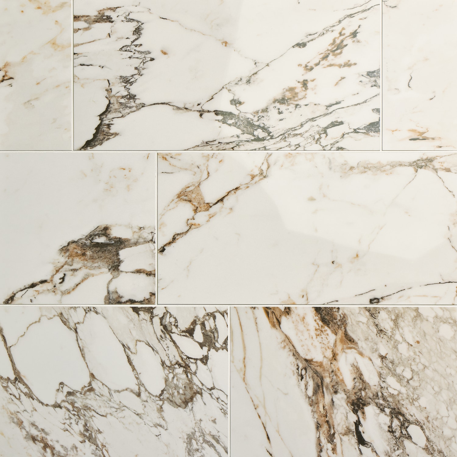 Daltile Panoramic Duet Calacatta Aries 12-in x 24-in Polished Porcelain Marble look Floor and Wall Tile ( 17.02-sq ft Carton )