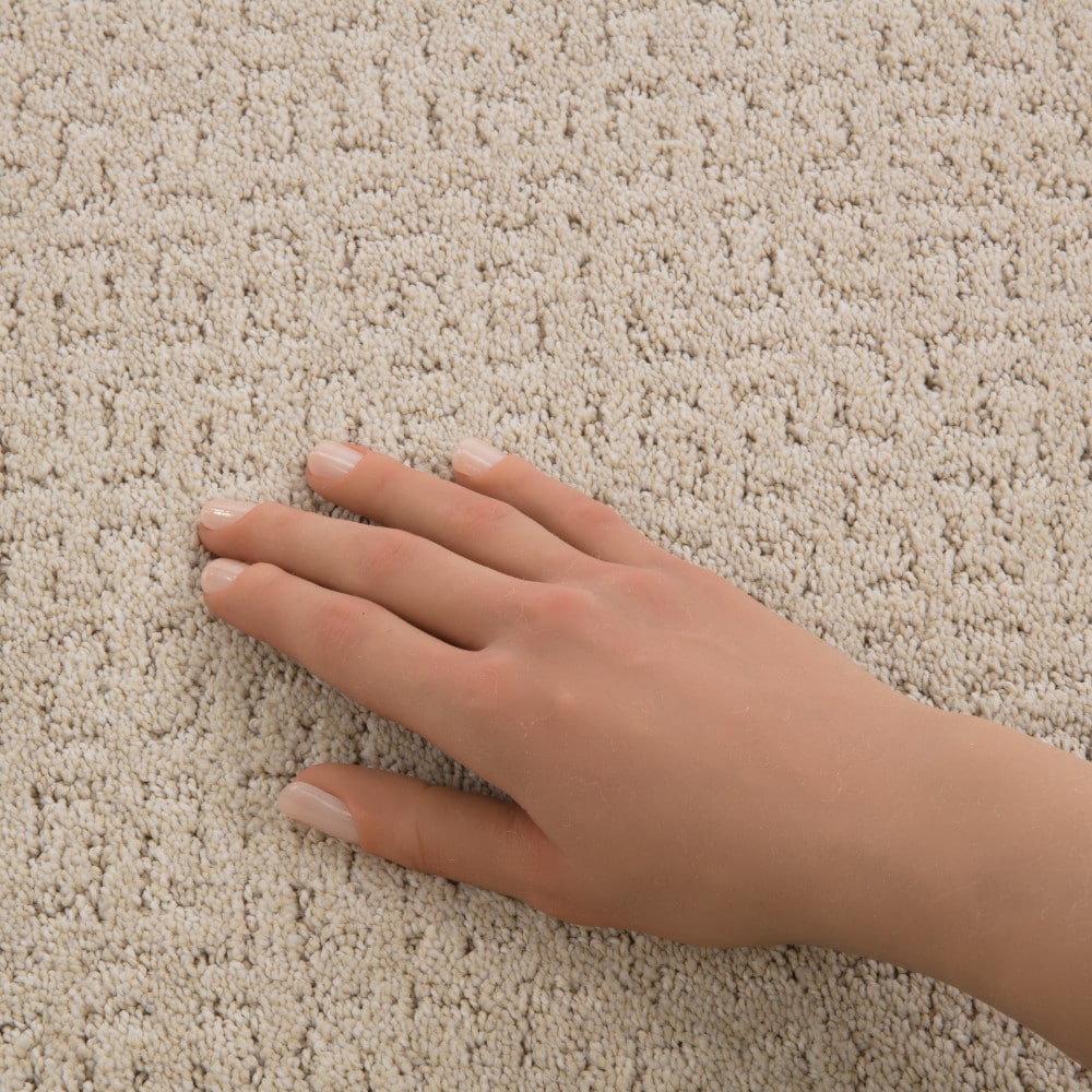 STAINMASTER PetProtect 7L943-120-SAMP Carpet-Samples - View #4