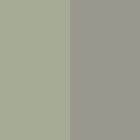 Light Green with Brushed Nickel Trim