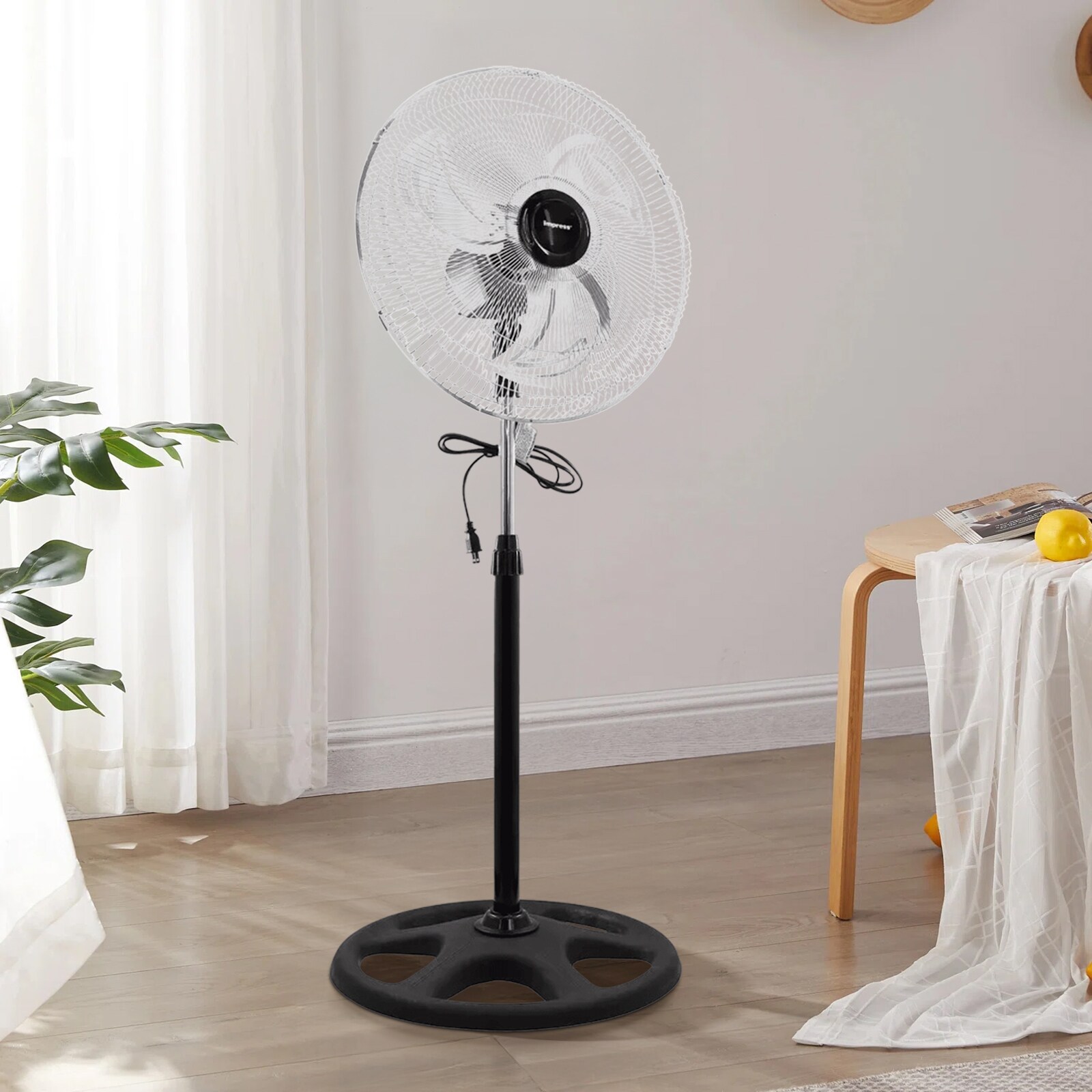 Siavonce XH77RGXP m090300 - View #4