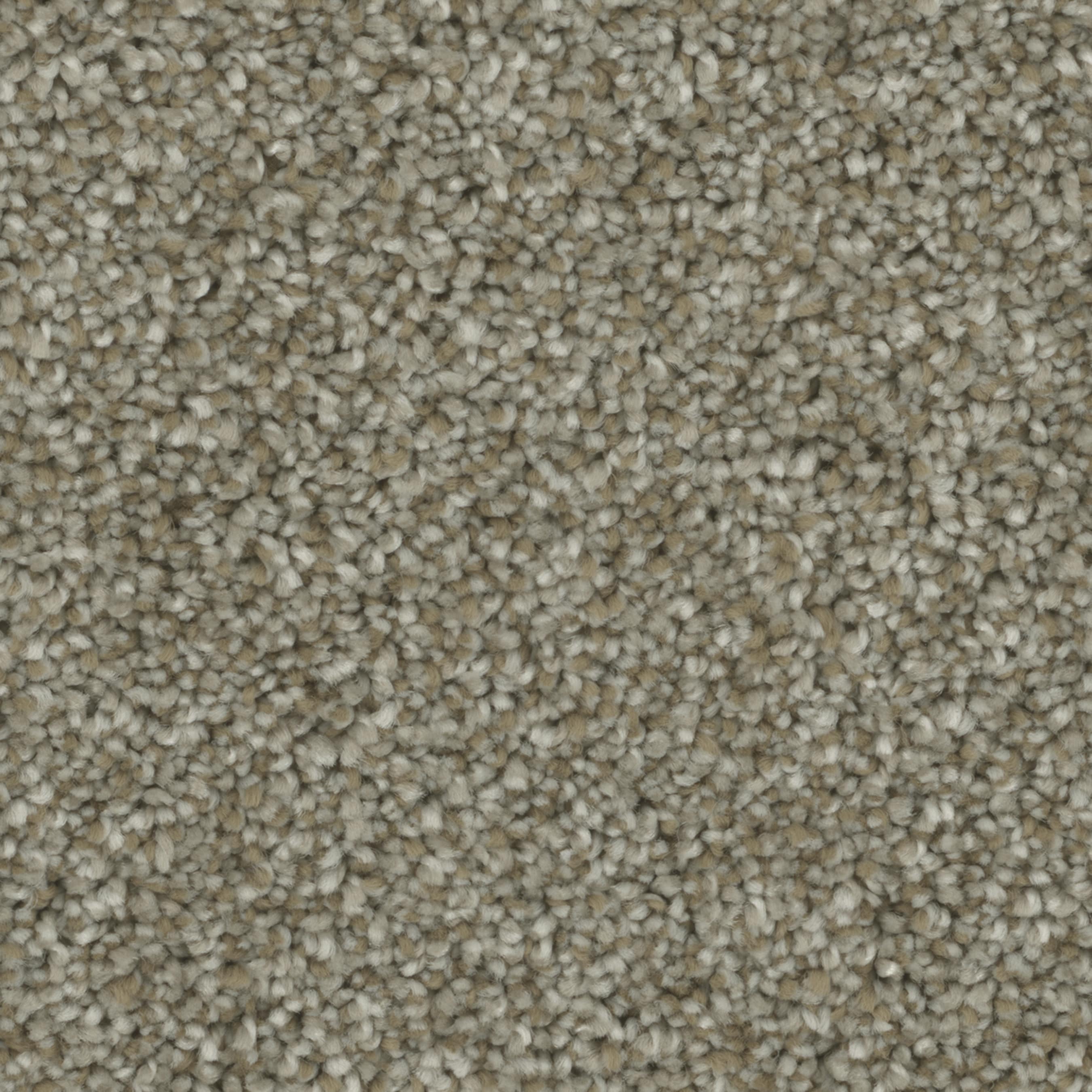 STAINMASTER S9560-941-1200-MO Bay Village Rowhouse Multi-Colored 60-oz sq yard Polyester Textured Indoor Carpet