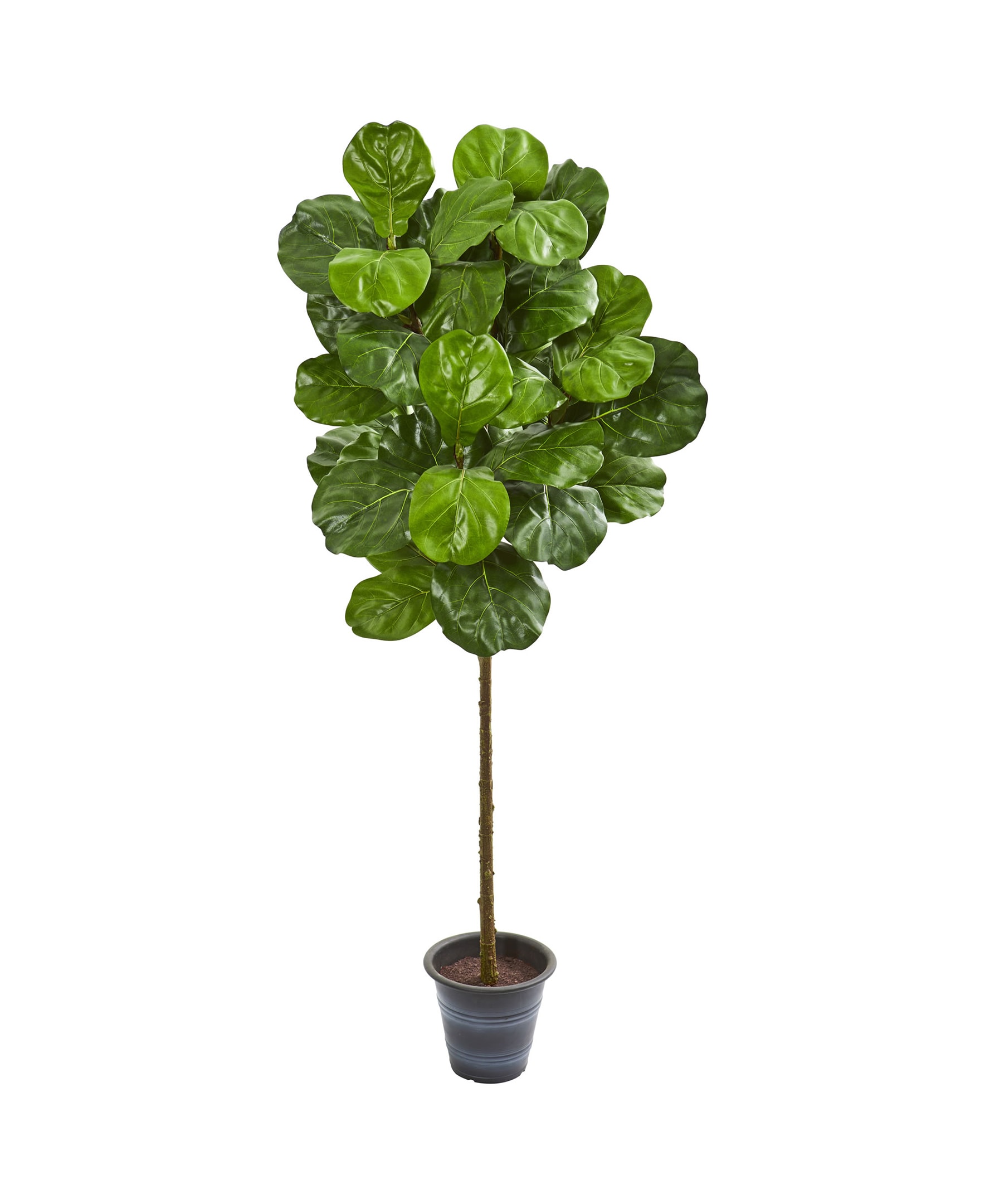 Nearly Natural 9137 60-in Green Indoor Floor Fiddle Leaf Artificial tree