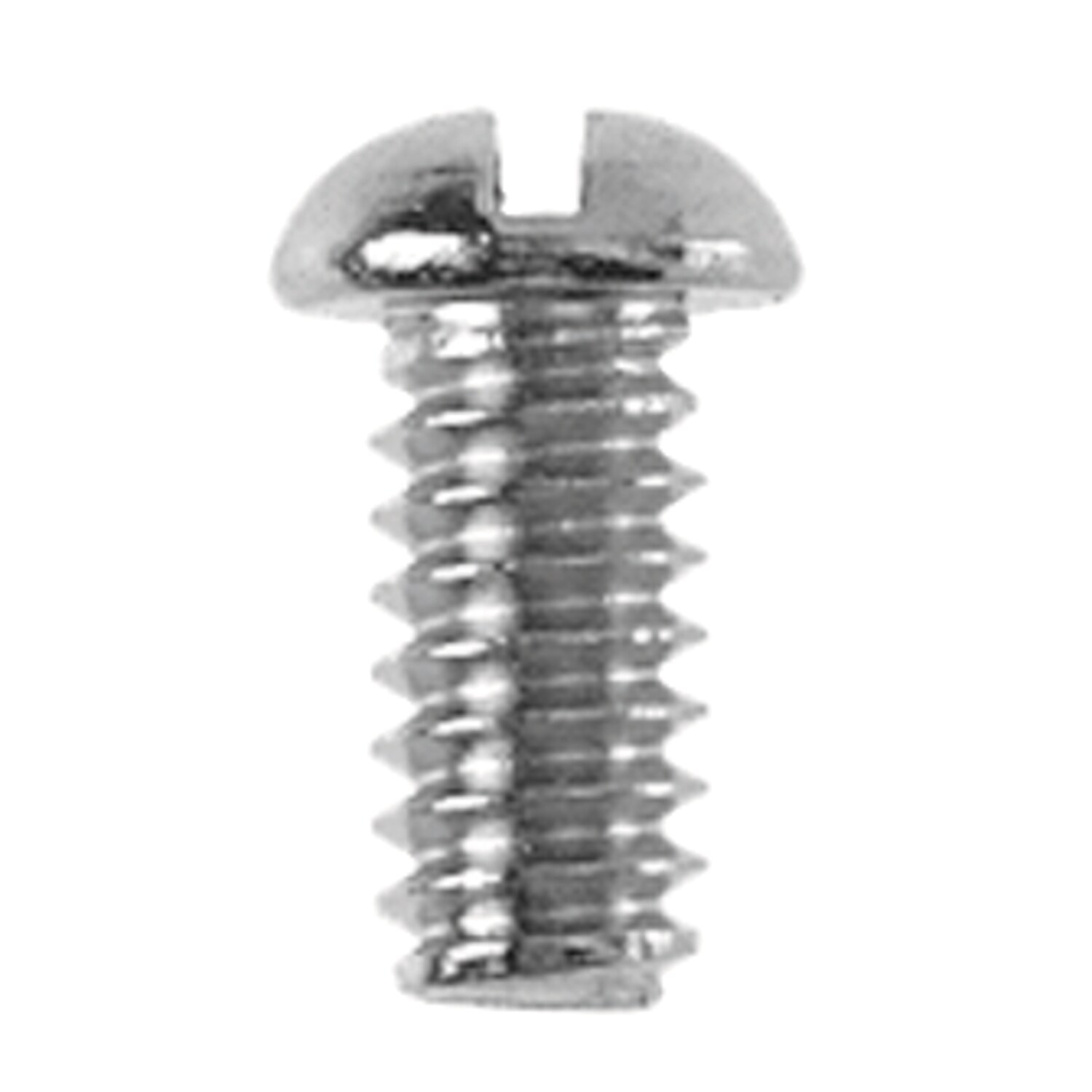Danco  No. 10 24 X 3/8 in. L Slotted Round Head Chrome Plated Brass Bibb Screw 1 pk