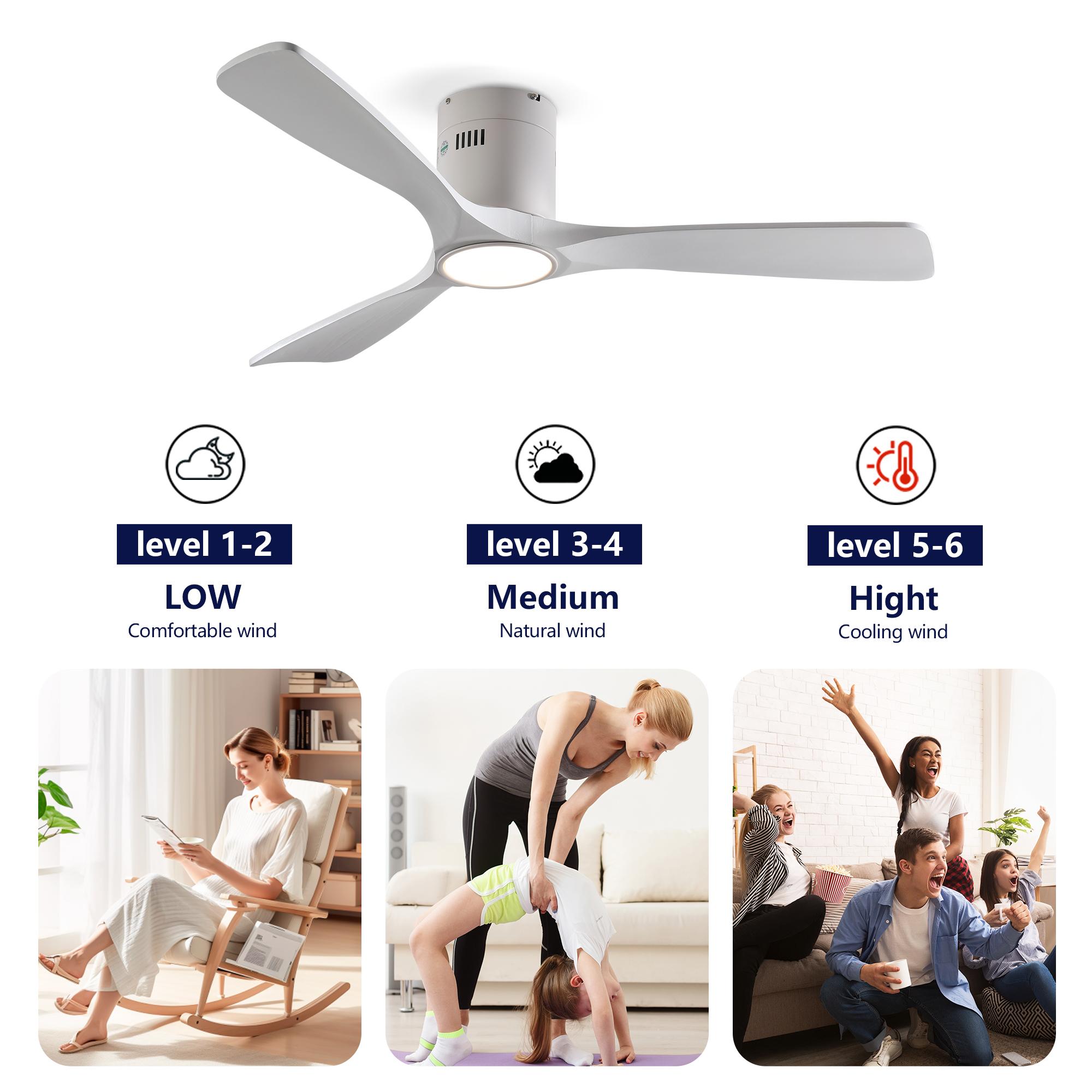 Bayfeve BF-366787-MP Ceiling-Fans - View #5