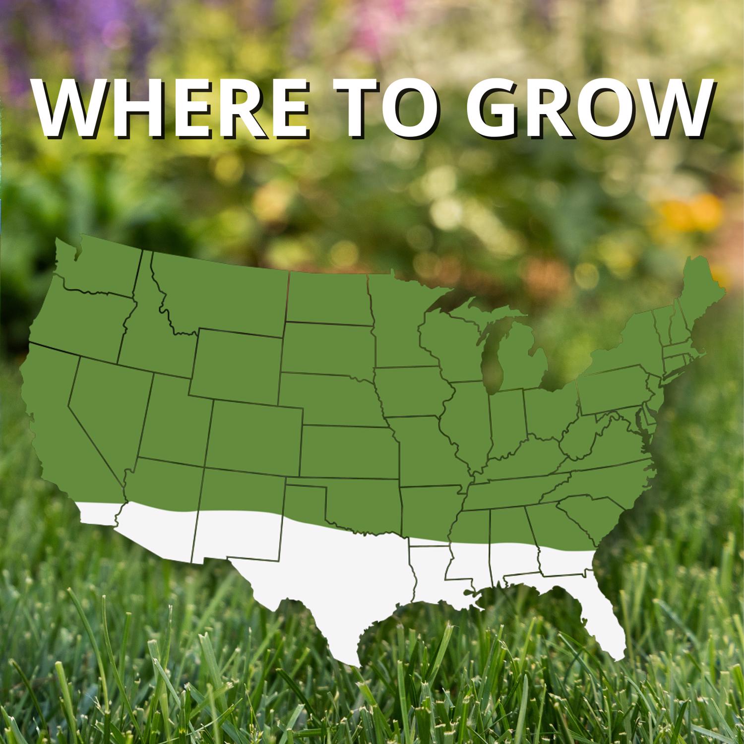 Jonathan Green 10810 Grass-Seed - View #3