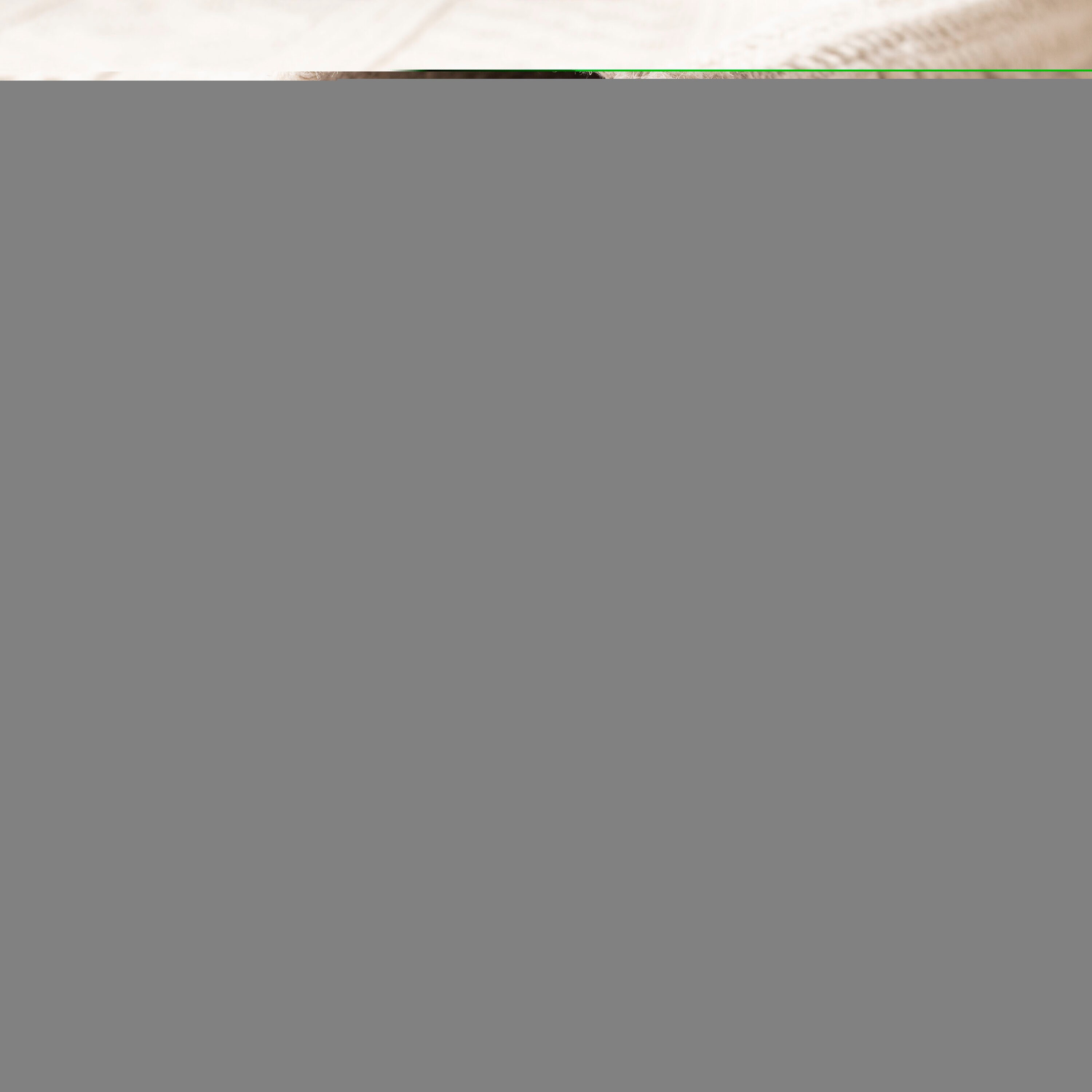 Safavieh VRM211A-210 rugs - View #6