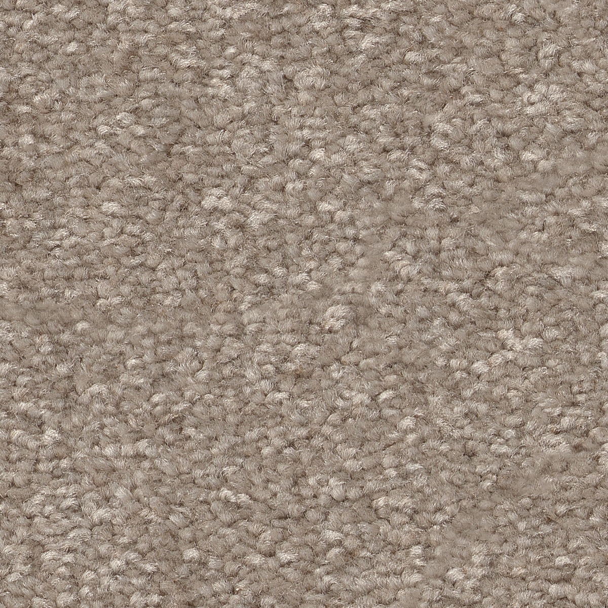 STAINMASTER 7L863 - 110 - SAMP (Sample) Best Intentions II Glacier Brown 53.6-oz sq yard Polyester Textured Indoor Carpet