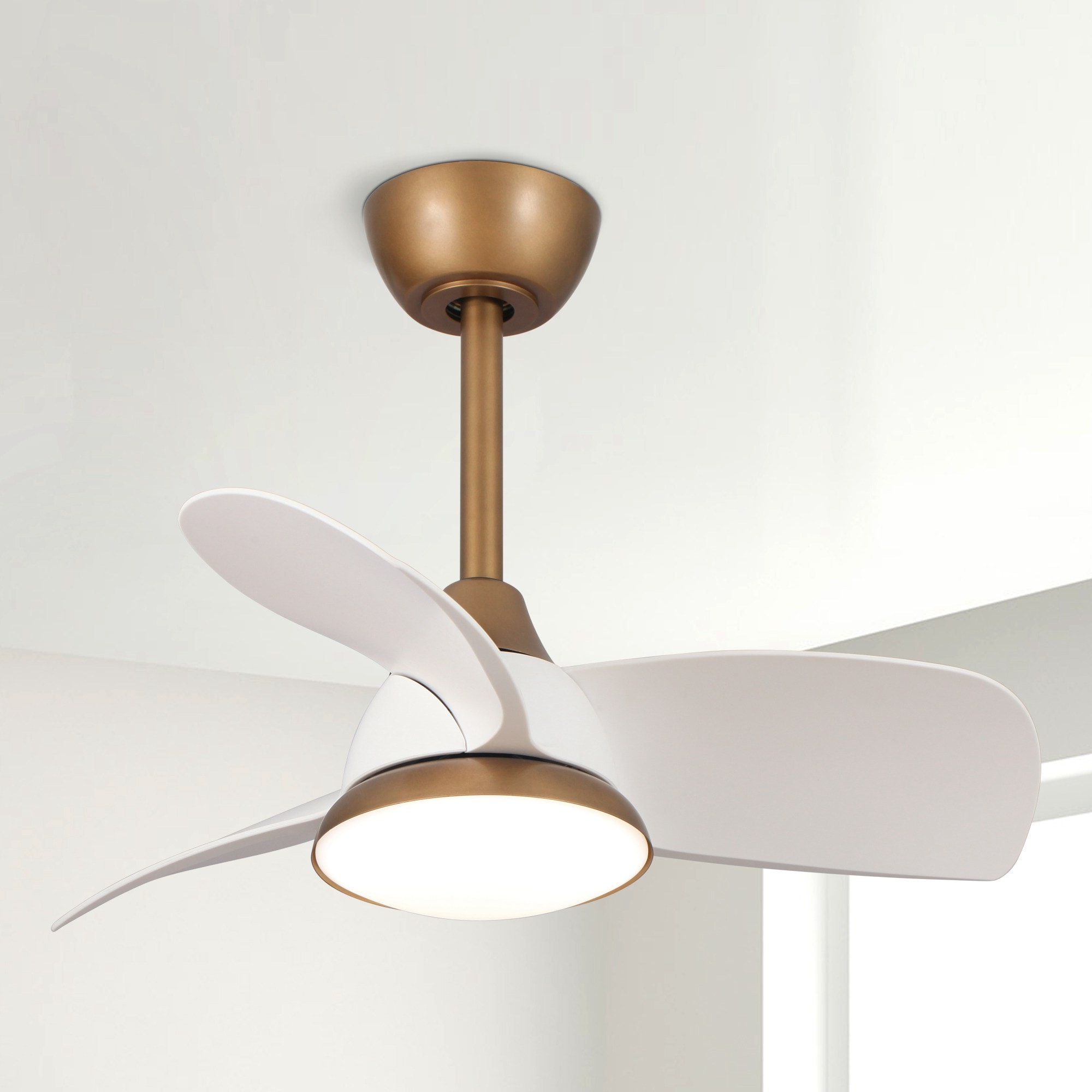 Parrot Uncle F6335WH110V 28-in Copper with White Blades Ceiling Fan With Light - Remote Included ( 3 -Blade )