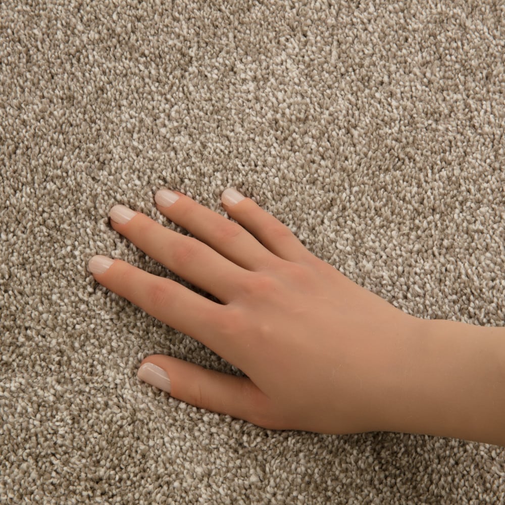 STAINMASTER PetProtect 7L99800700 Carpet-Panel - View #3