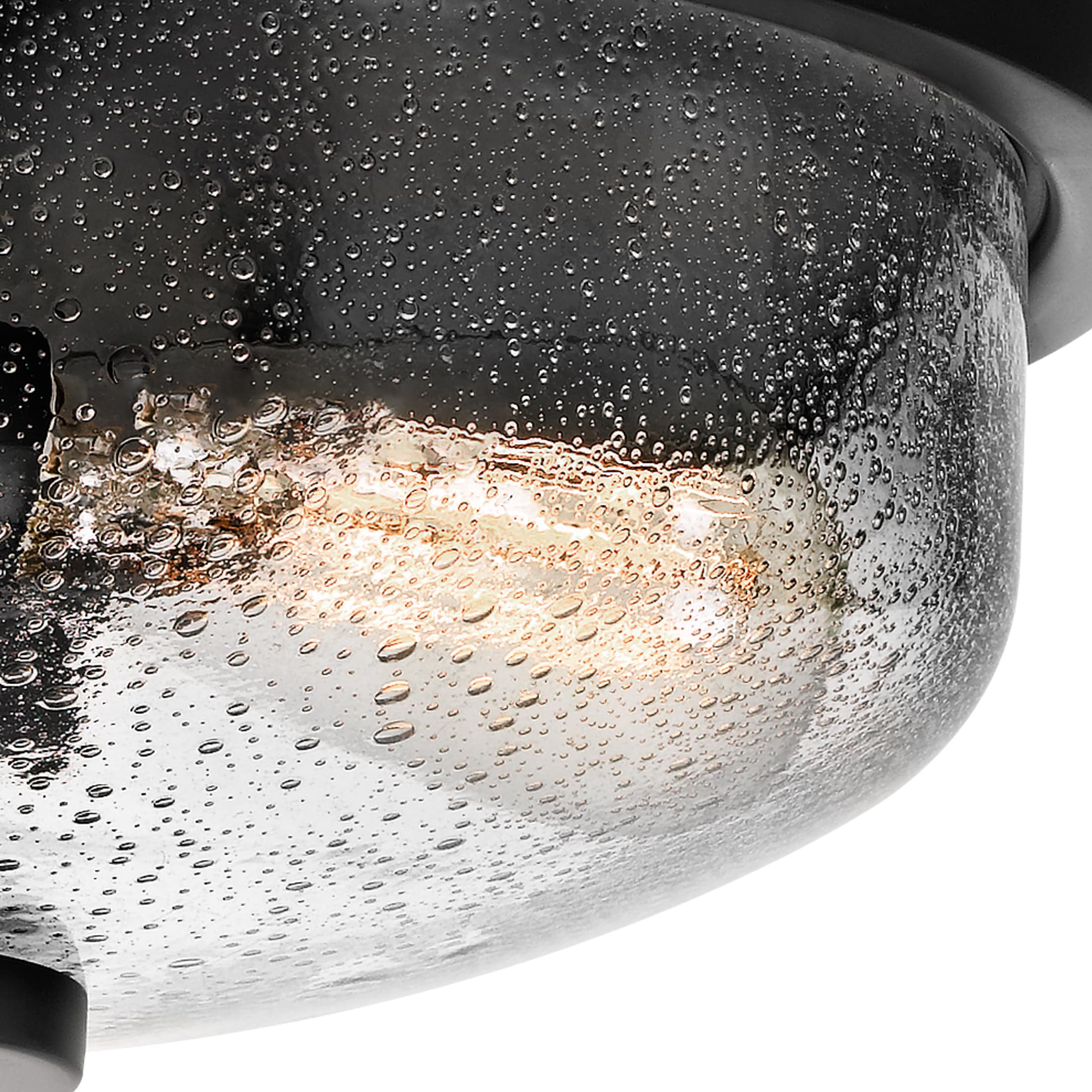 Radius Black Glass 2-Light Indoor/Outdoor Flush Mount Ceiling Light