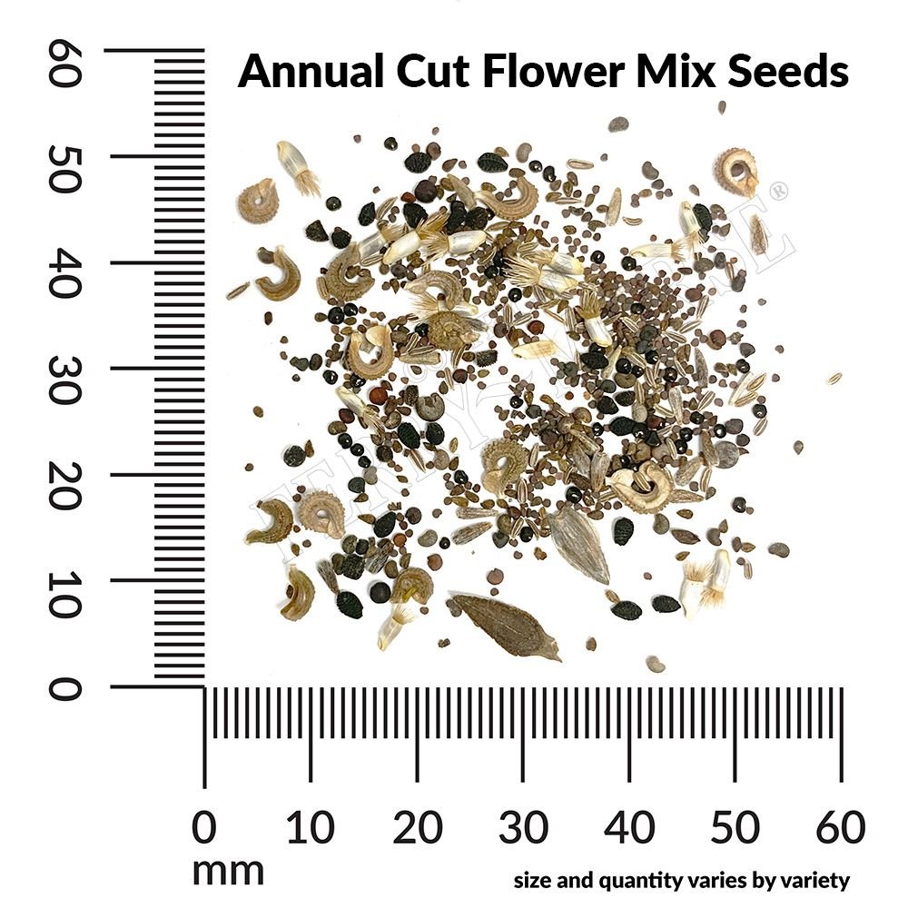 Ferry-Morse 650867.249.0824 seeds - View #4