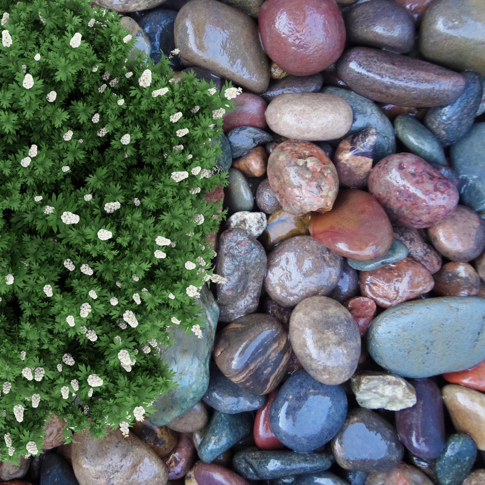 Beautiful Large River Rock (1 Cubic Yard) - Kentucky Lawn Care