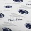 Penn State Nittany Lions
