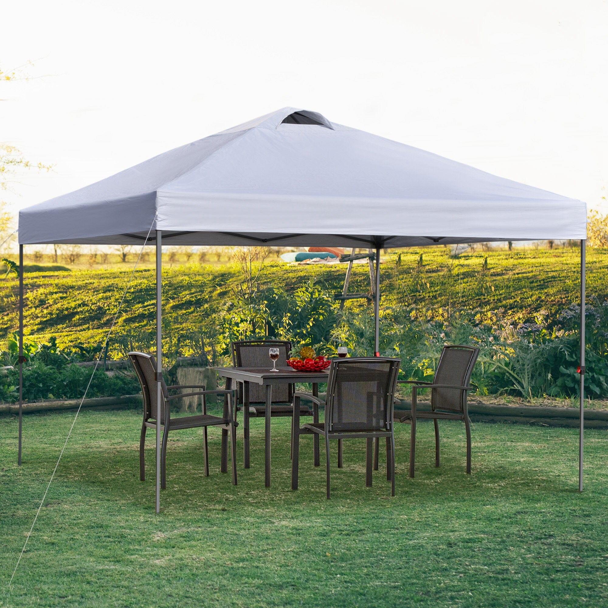 Damerin WP24 tents - View #4