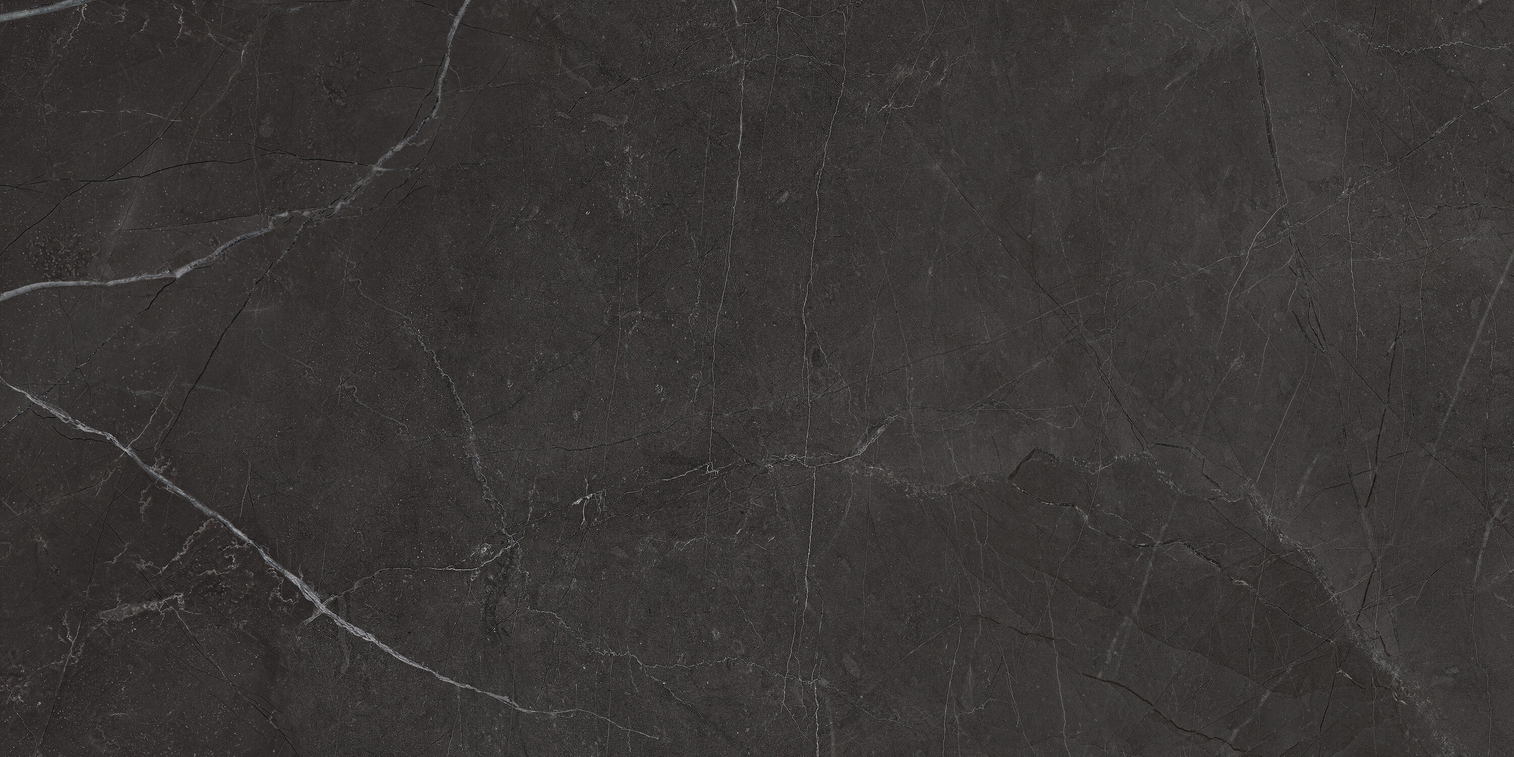 La Marca Nero Venato 12-in x 24-in Honed Porcelain Marble Look Floor and Wall Tile (15.5-sq. ft/ Carton) | - Anatolia 4500-0886-0