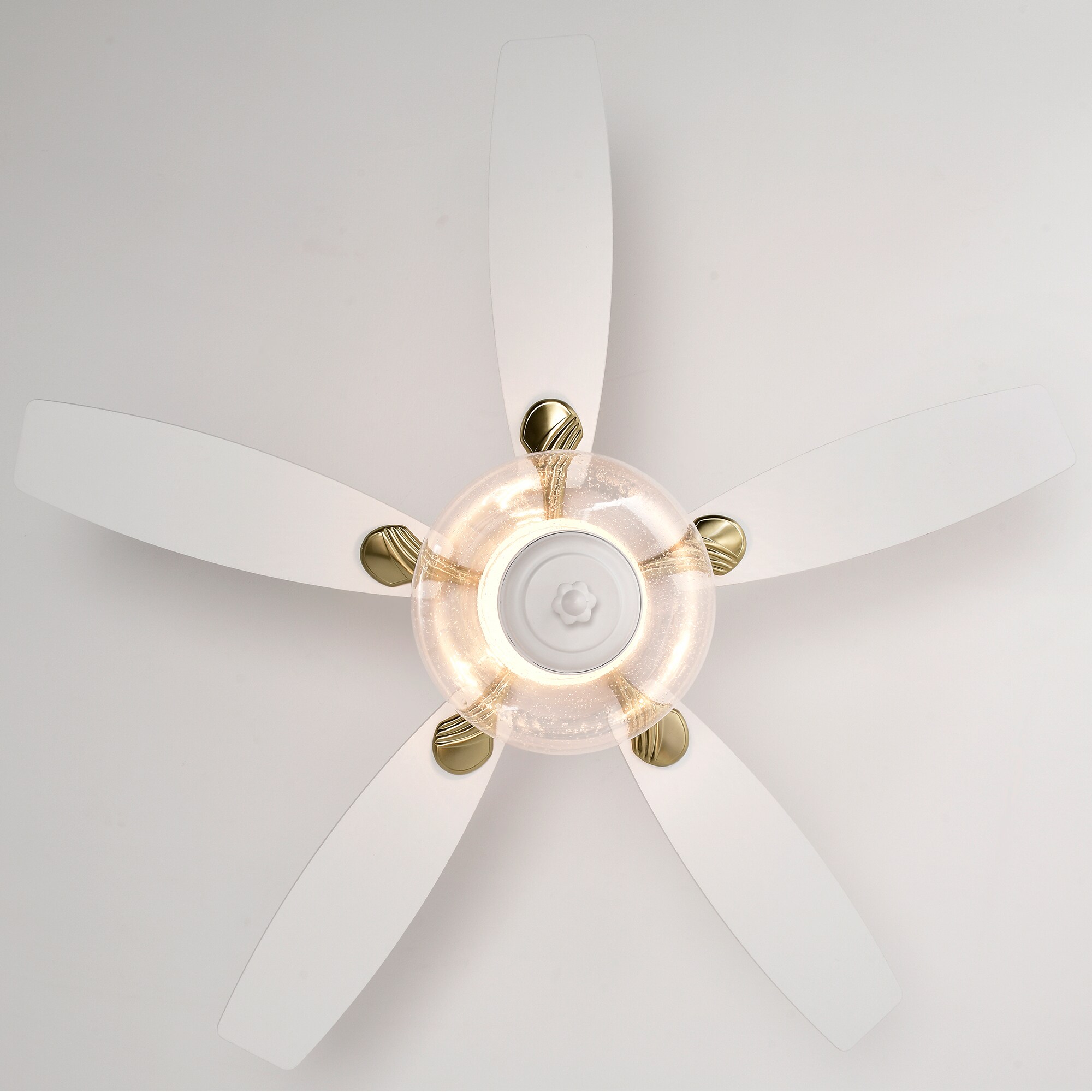 Oaks Decor BDHEMP163936 Ceiling-Fans - View #15