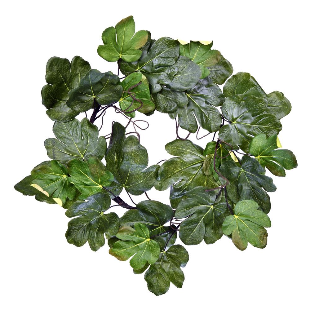 Vickerman FT190624 24-in Green Indoor Fiddle Leaf Artificial Wreath