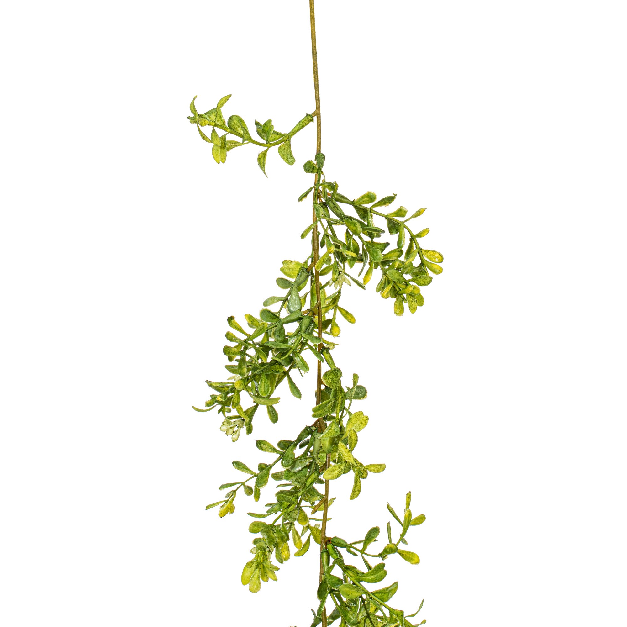 Vickerman FK181572 Artificial-Plants-Trees - View #5