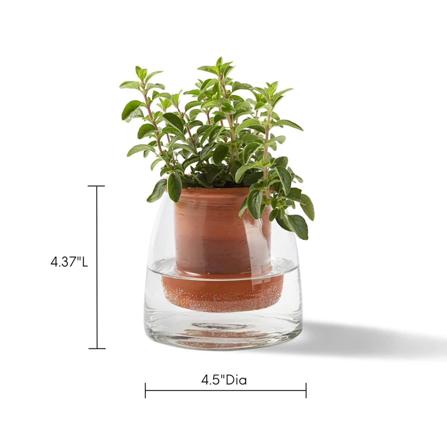 Citrine 8157 Planter-Window-Box - View #4