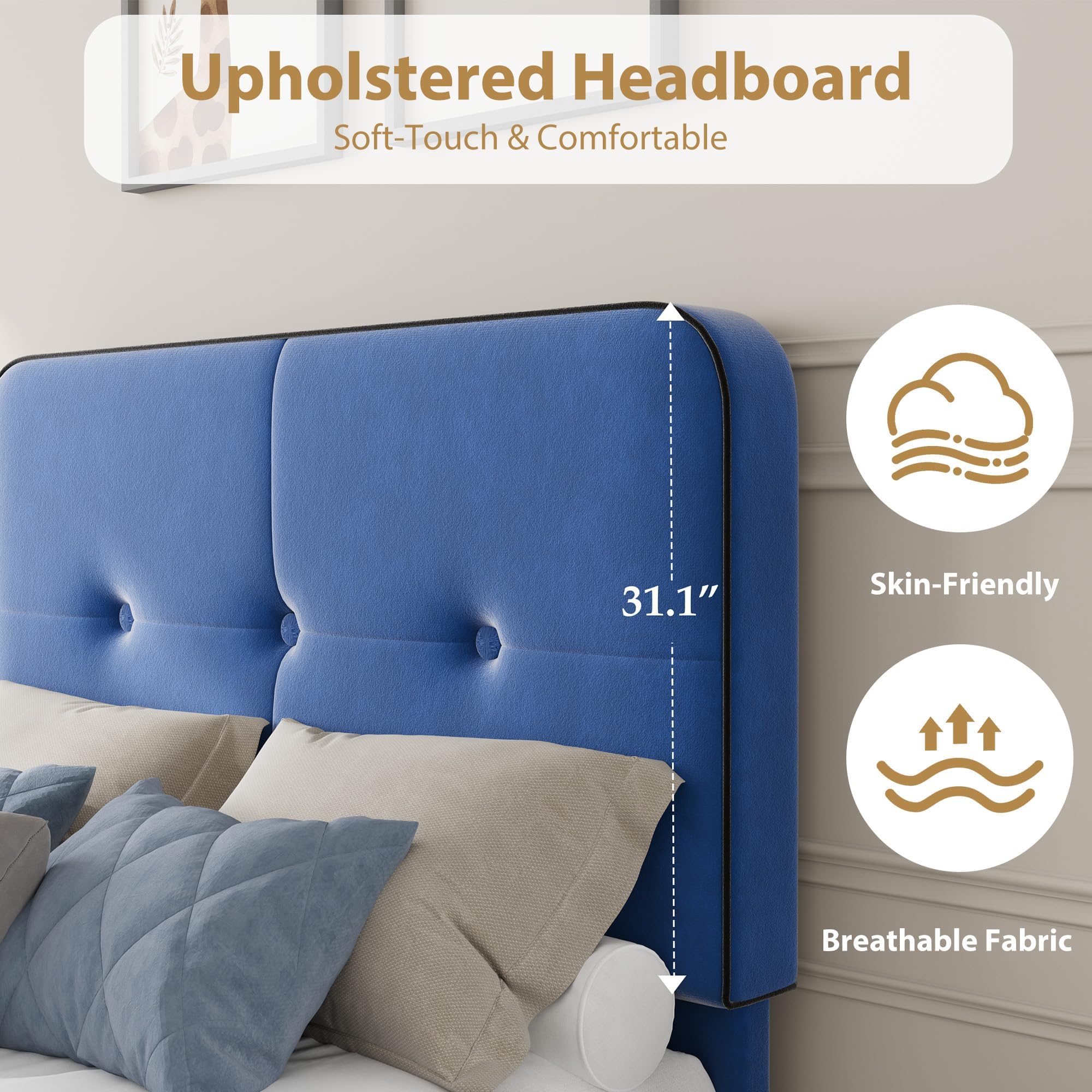 Assile XH26080335 beds - View #3