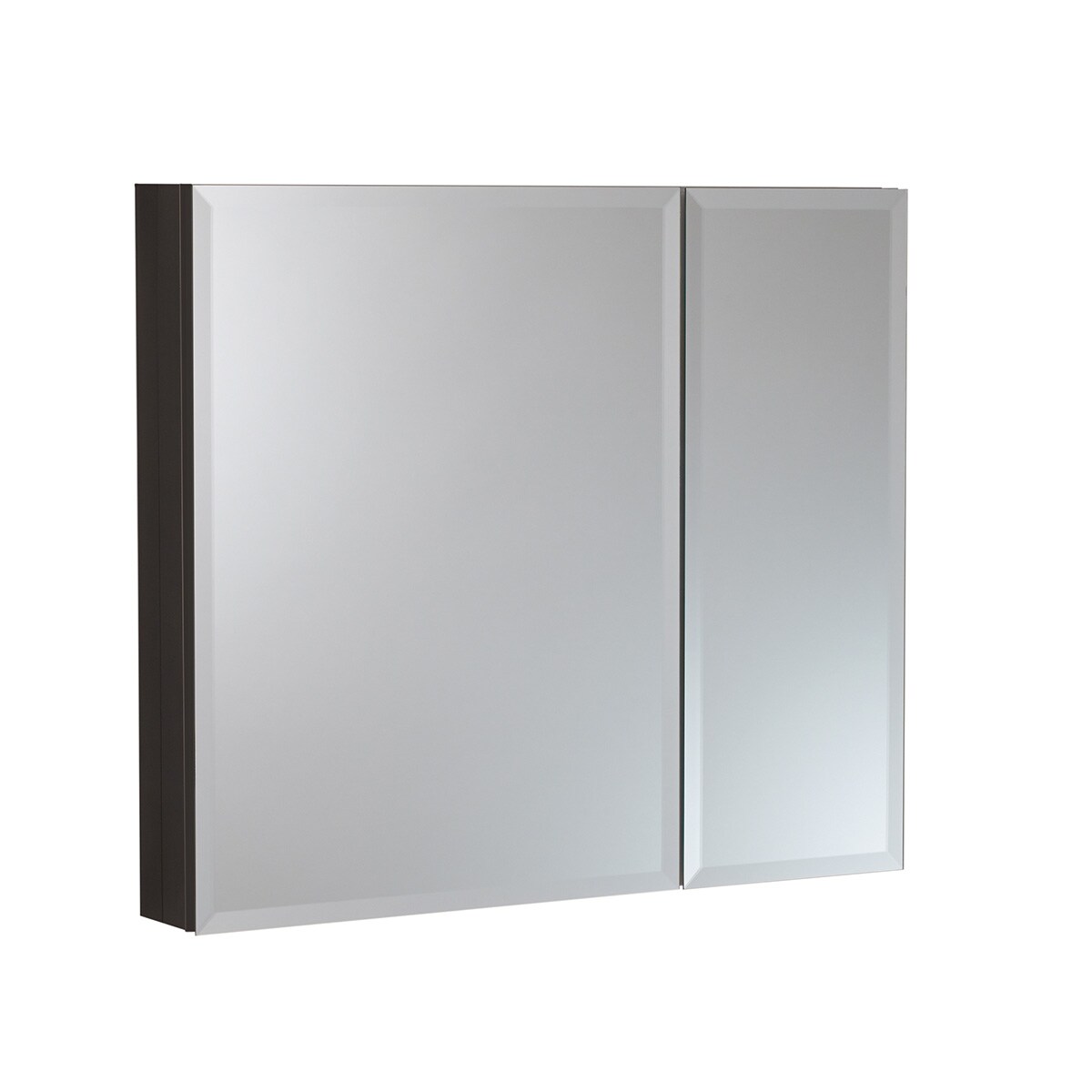 Jacuzzi 30 in. x 26 in. Recessed or Surface Mount Double Door Bi-View Medicine Cabinet, Silver PD44000