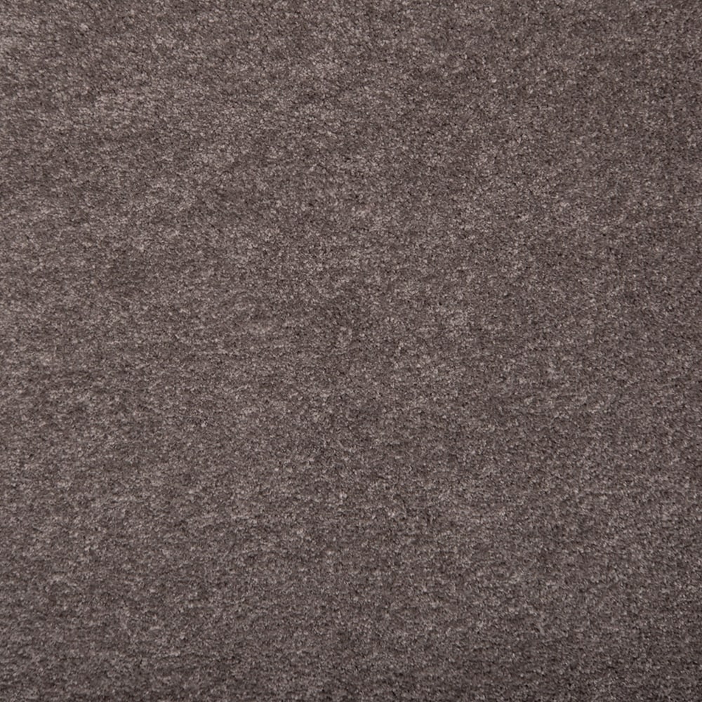 STAINMASTER PetProtect - (Sample) 8-in x 8-in Pawfection Nocturne Brown 70-oz sq yard Triexta Tex...