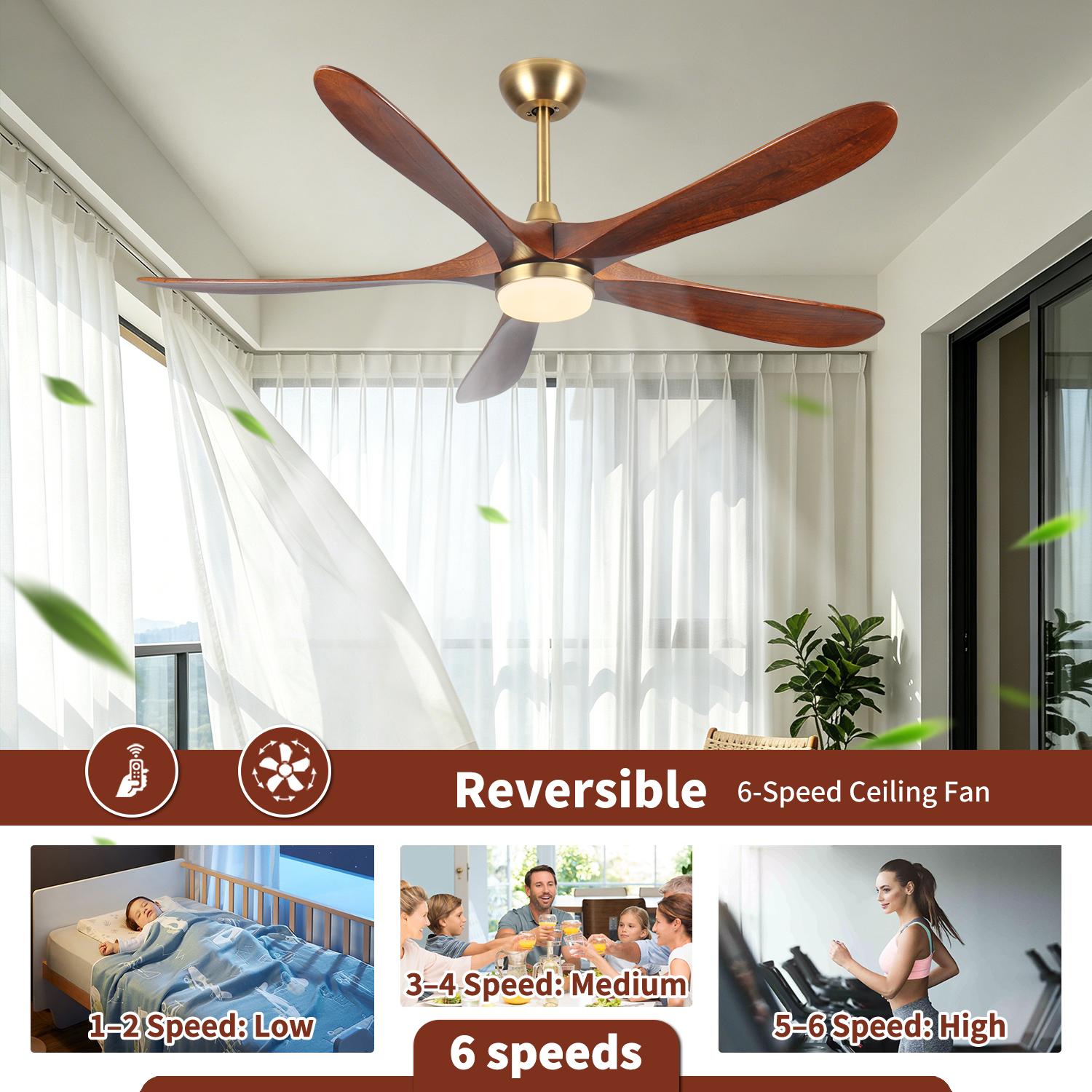 Bayfeve BF-509432-MP Ceiling-Fans - View #3