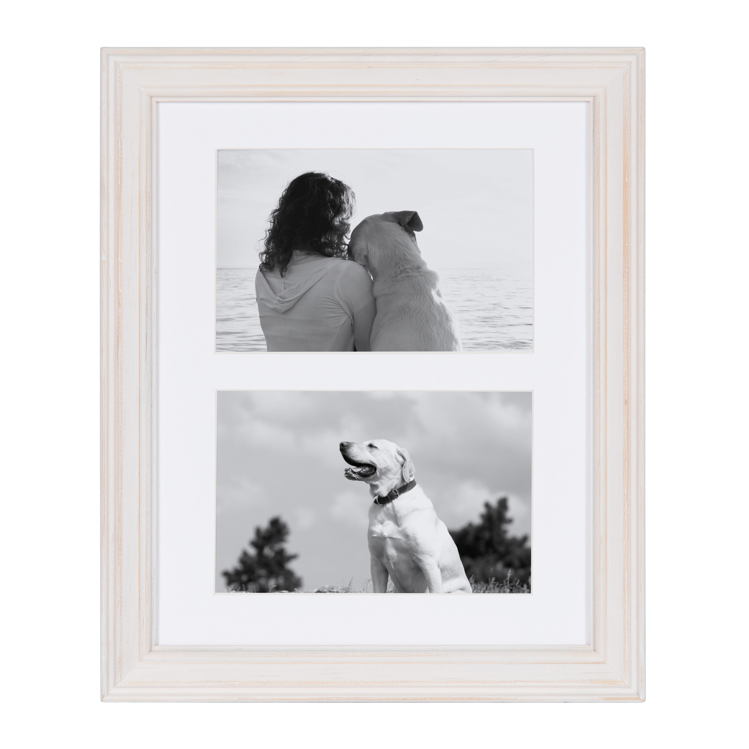 Kate and Laurel White Wood Picture Frame (4-in x 6-in) in the Picture  Frames department at