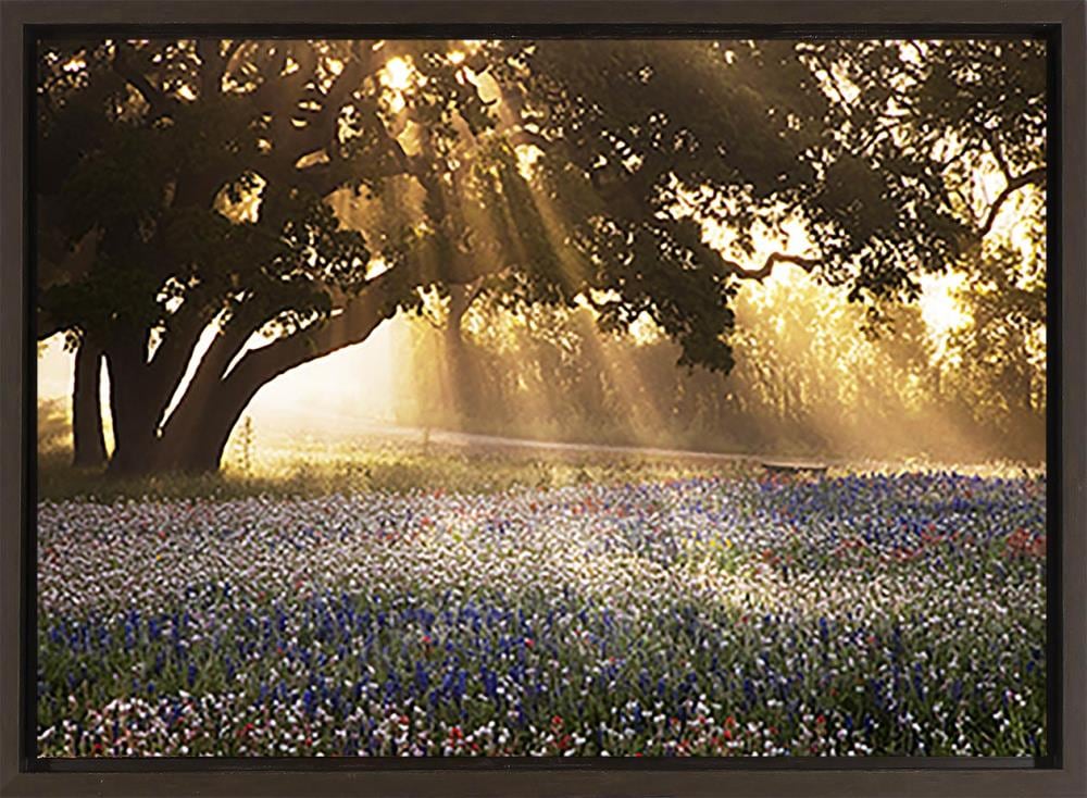  1709-8062LOW Framed 22-in H x 28-in W Landscape Print on Canvas