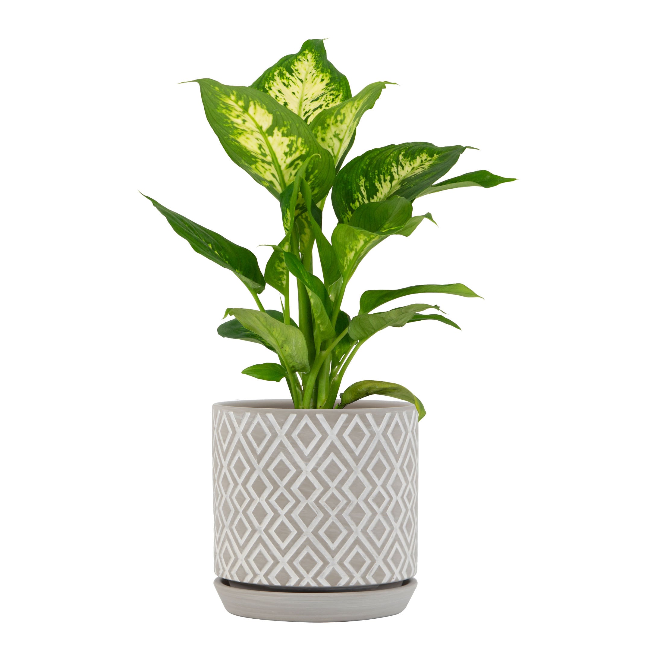 allen + roth CR01896S-06H Planter-Window-Box - View #3