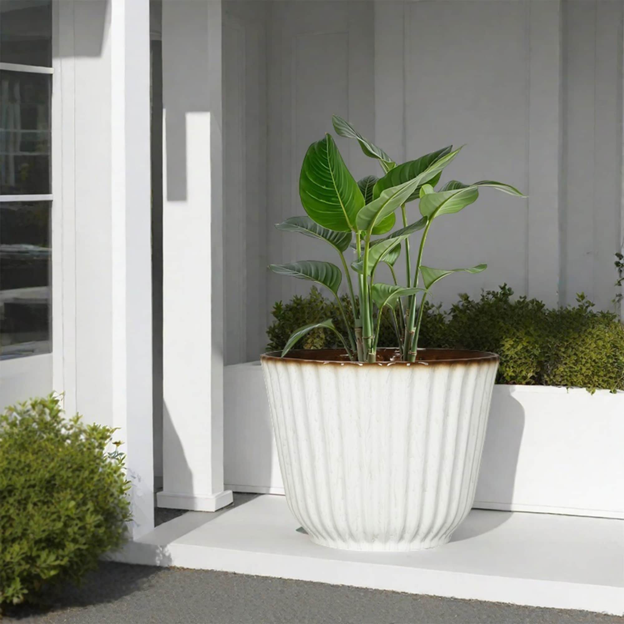 Style Selections PLJE515DWJ Planter-Window-Box - View #2