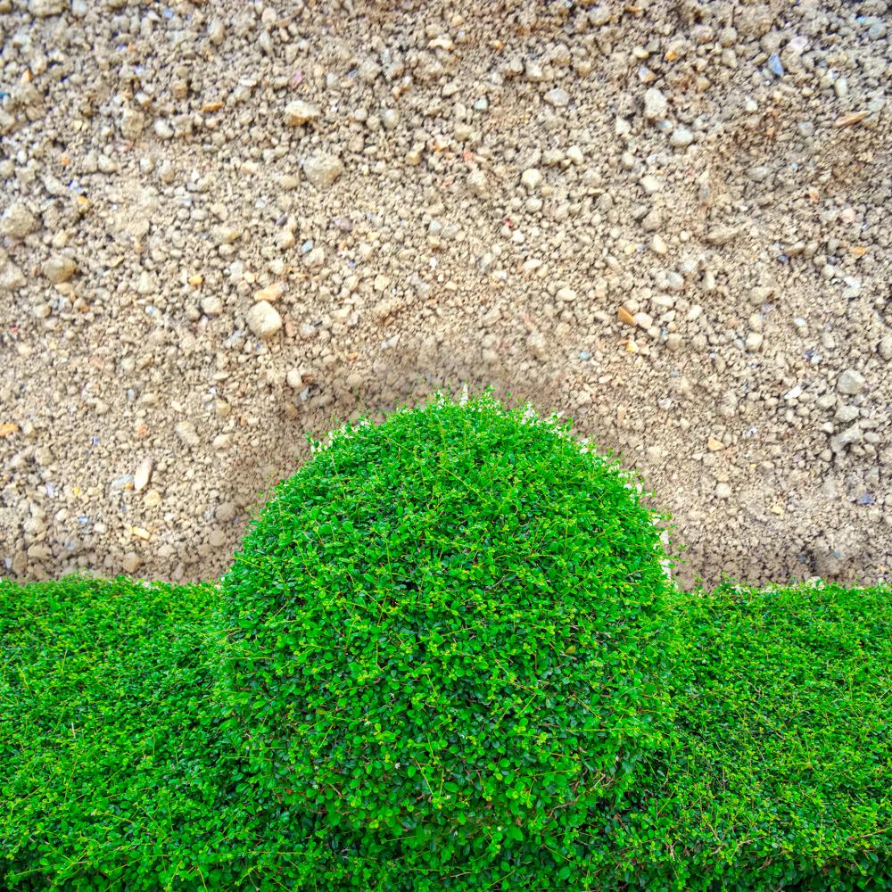 Hopper HOPDECORDGGL  - View #2