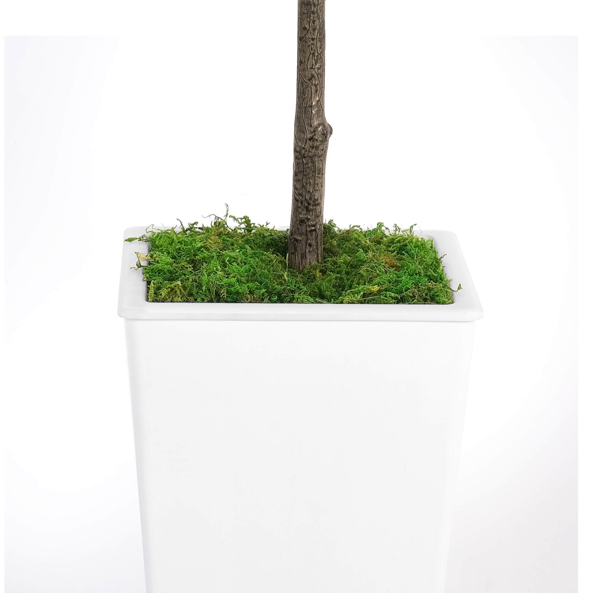 Tatayosi JJ-0P298175 Artificial-Plants-Trees - View #6