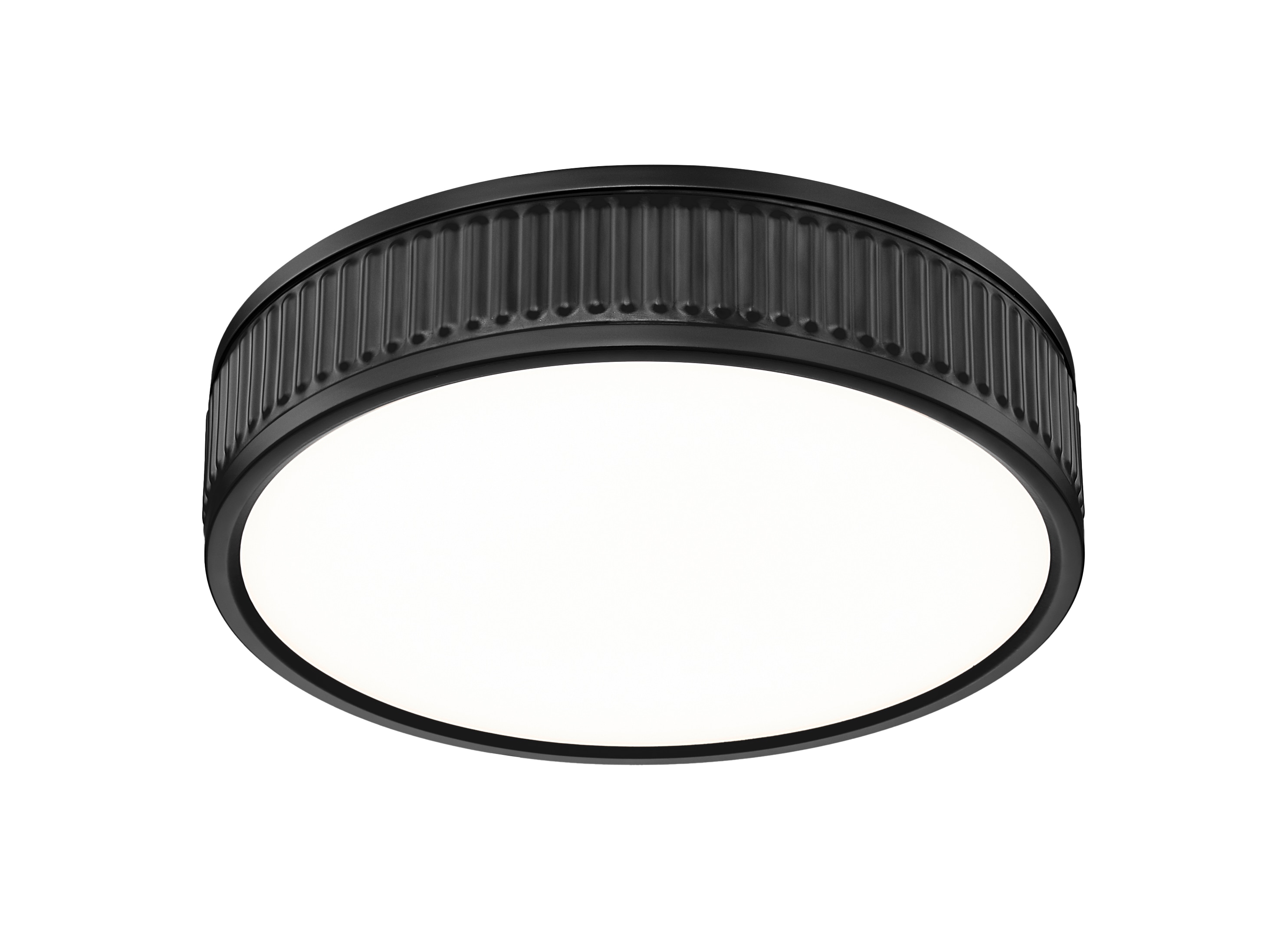 Z-Lite 1013F12-MB-LED flushmounts - View #4