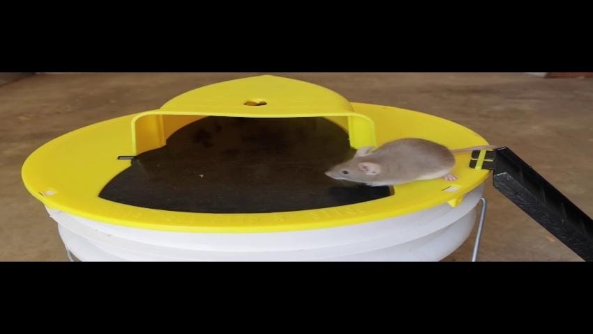 A thumbnail for the video