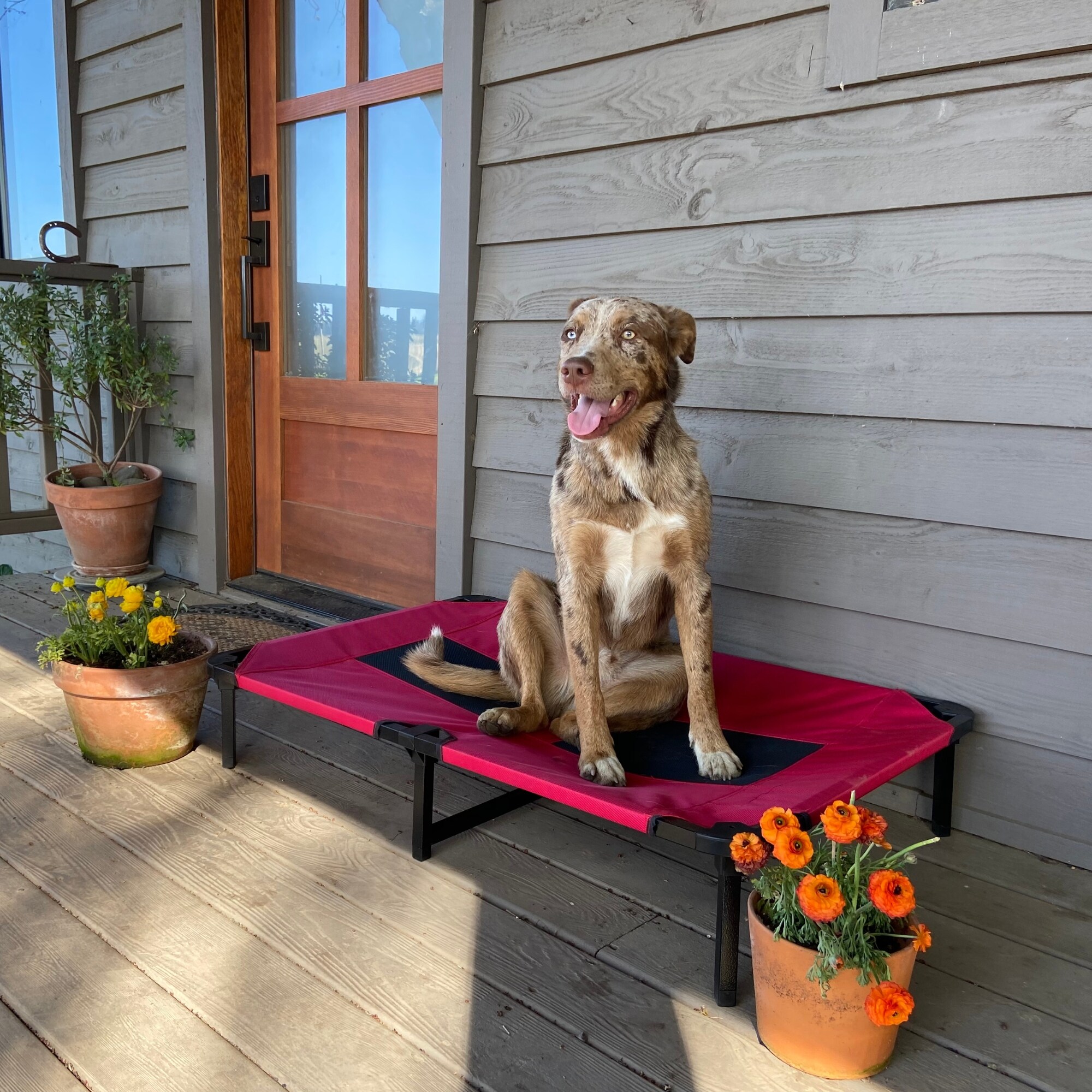 Lucky Dog CMB 10142 Pet-Beds - View #9