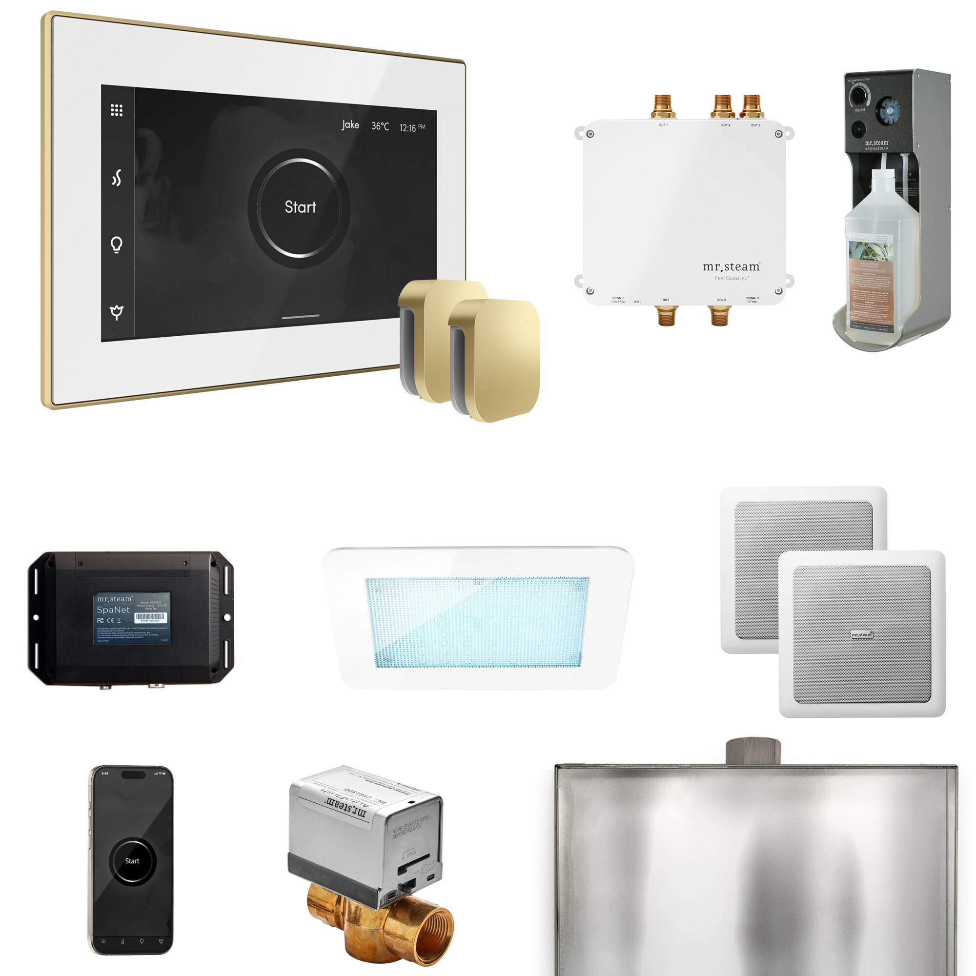 Mr. Steam BLS1-WHXSB Bliss White - Satin Brass Steam Generator Control Kit