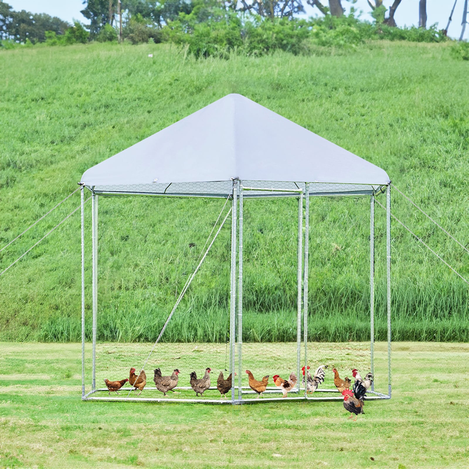 Maocao Hoom JL132850 Chicken-Coops-Rabbit-Hutches - View #2
