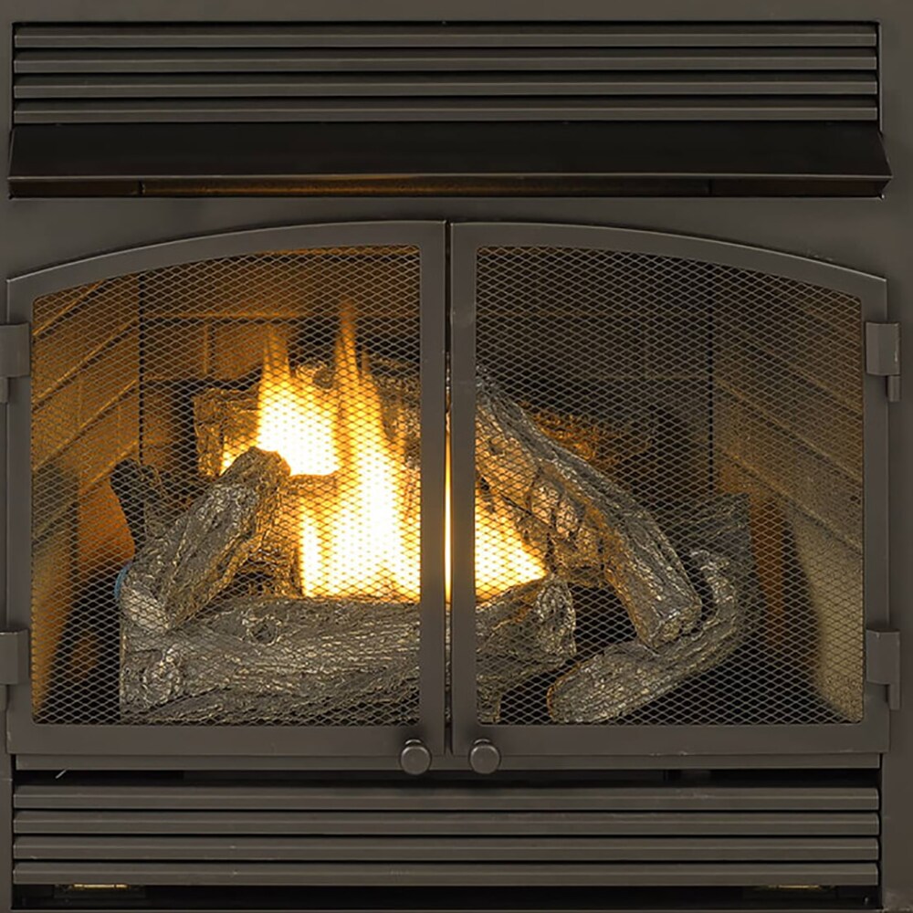 ProCom FBNSD400RT-2W Gas-Fireplaces - View #3