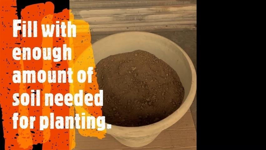 A thumbnail for the video