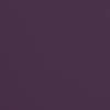 Plum Purple