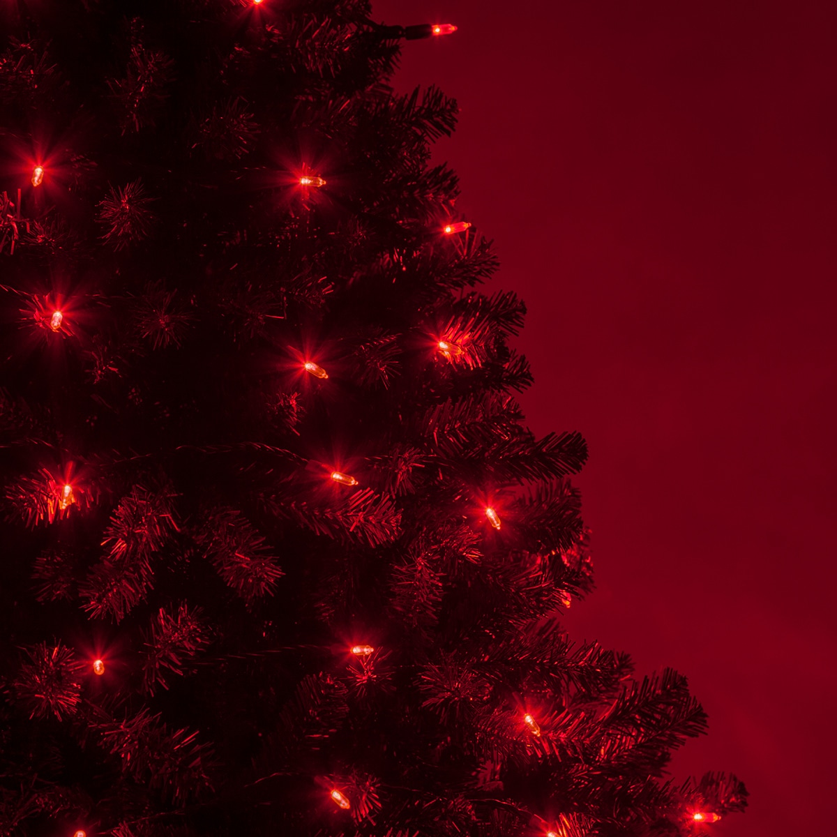 Wintergreen Lighting 83384 Christmas-String-Lights - View #6