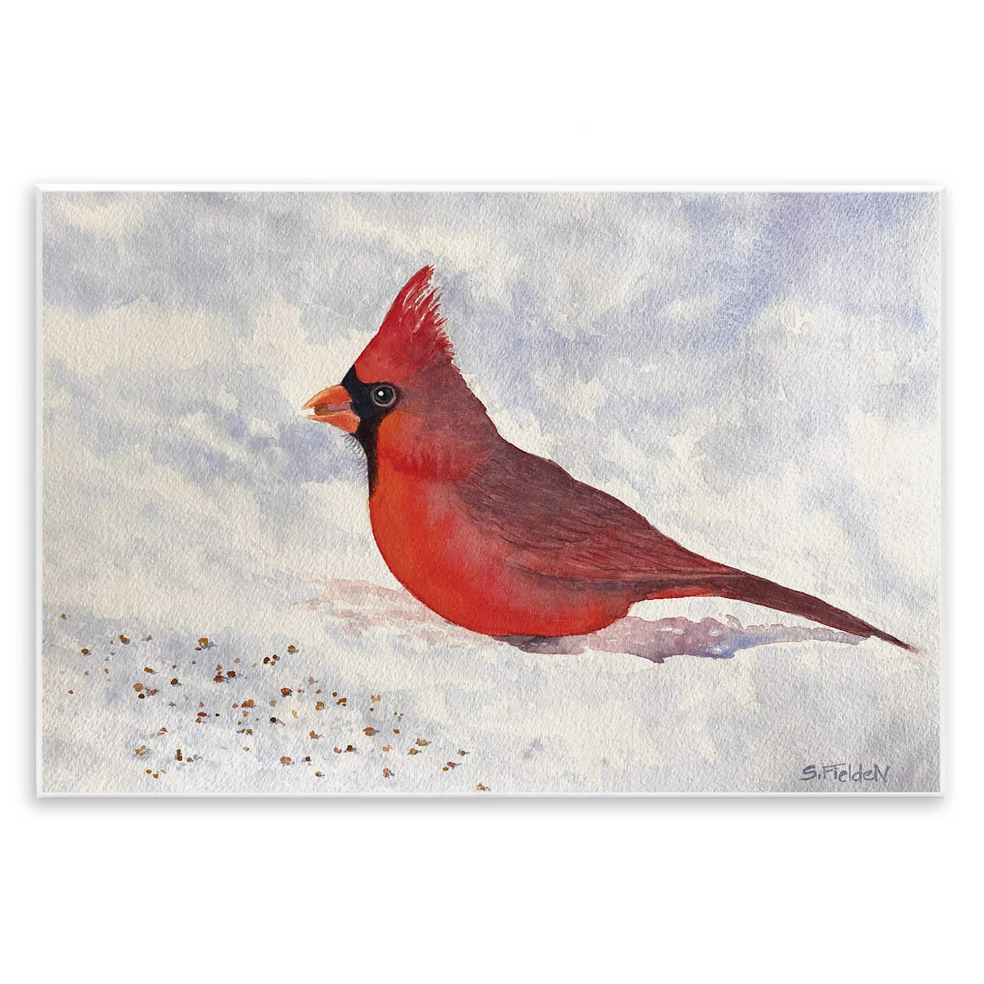Stupell Industries BS-577-WD-13X19 Red Cardinal in Snow Wall Plaque Art By Stephanie Fielden 19 x 13