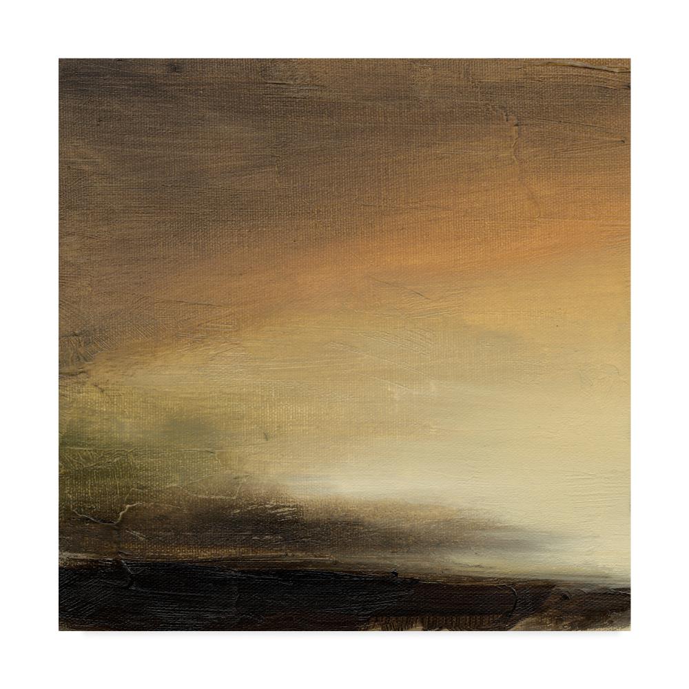Trademark Fine Art WAG02272-C1818GG Framed 18-Inches H x 18-Inches W Abstract Canvas Print