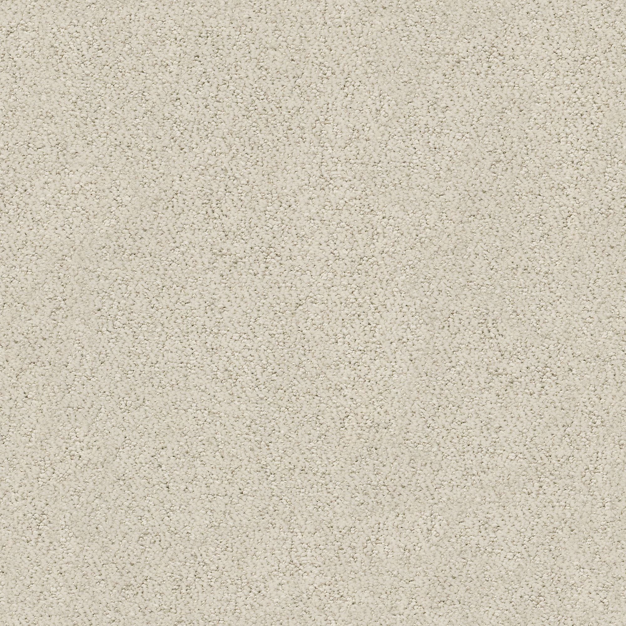 STAINMASTER PetProtect 7L88400103 Happy Tails Canvas Off-white 29.2-oz sq yard Nylon Pattern Indoor Carpet