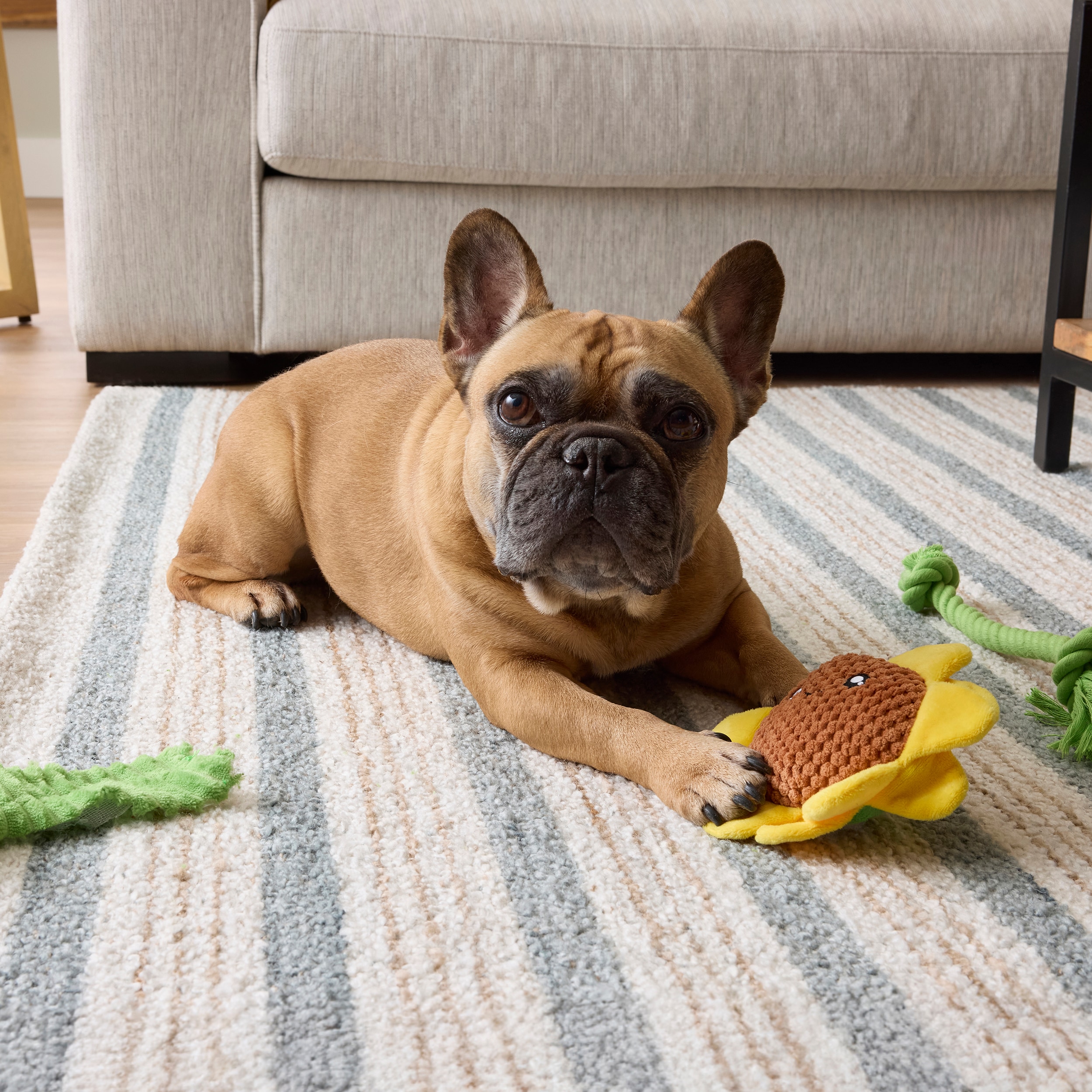 Heart & Herd YC26108 Dog-Toys - View #6