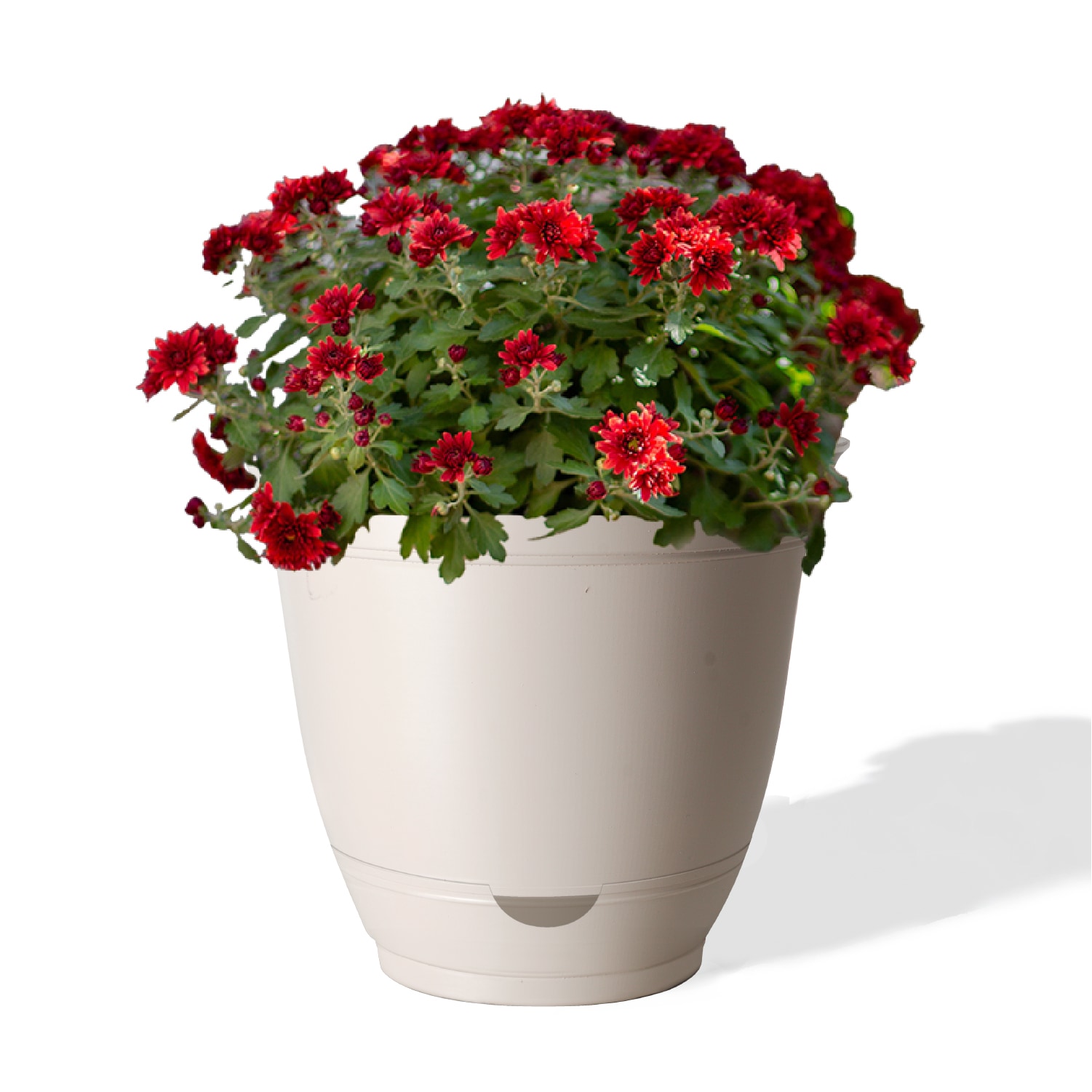 Style Selections DP2132R/DPS2132R-WH Planter-Window-Box - View #2